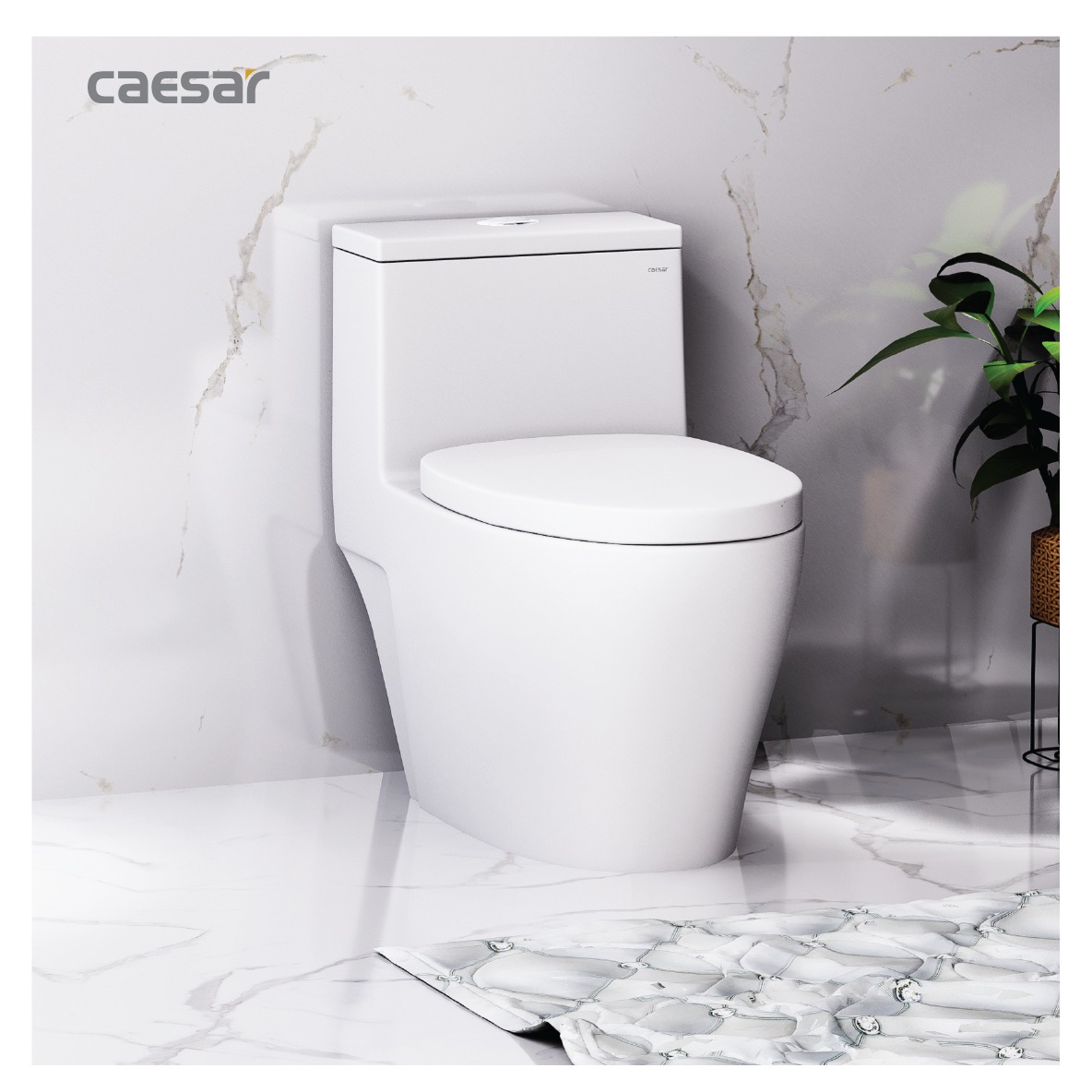 Bồn cầu 1 khối nắp rửa cơ Caesar C1356F + TAF060 (CD1356+TAF060)