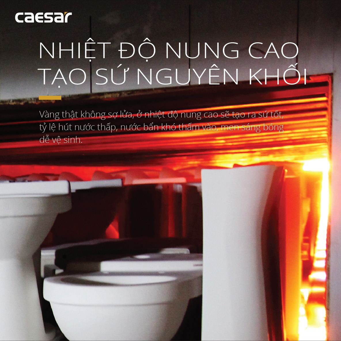 Bồn cầu 1 khối nắp rửa cơ Caesar C1356F + TAF060 (CD1356+TAF060)
