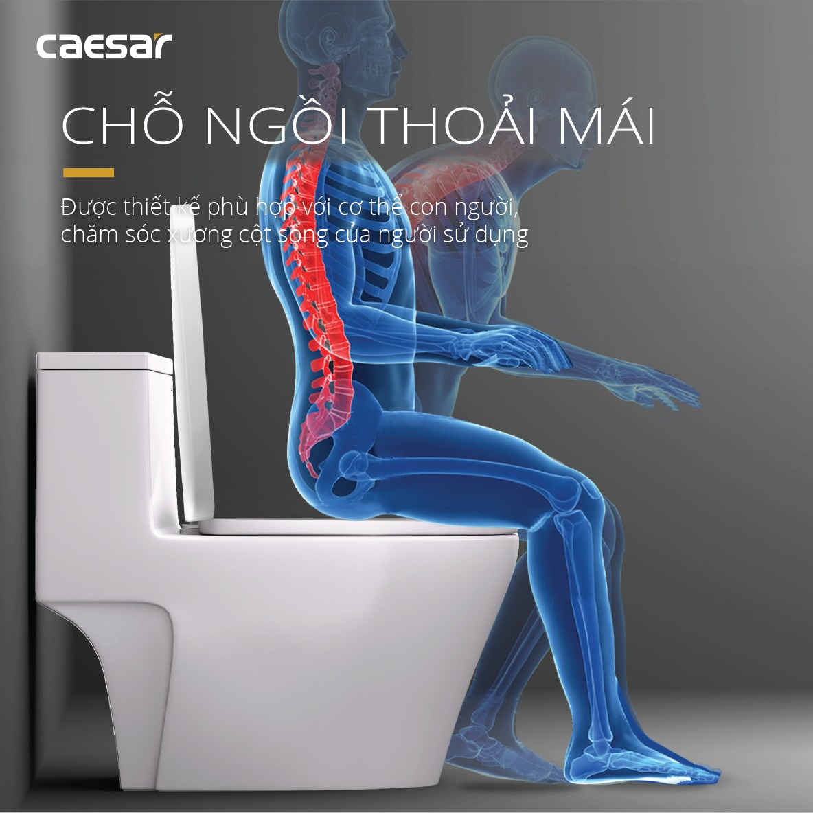 Bồn cầu 1 khối nắp rửa cơ Caesar C1356F + TAF060 (CD1356+TAF060)