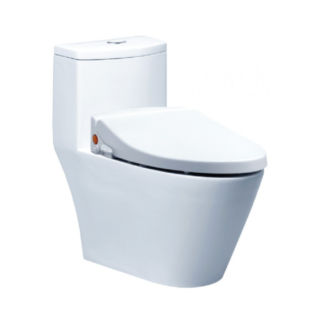 Bồn cầu 1 khối nắp rửa cơ Caesar CD1363+TAF050