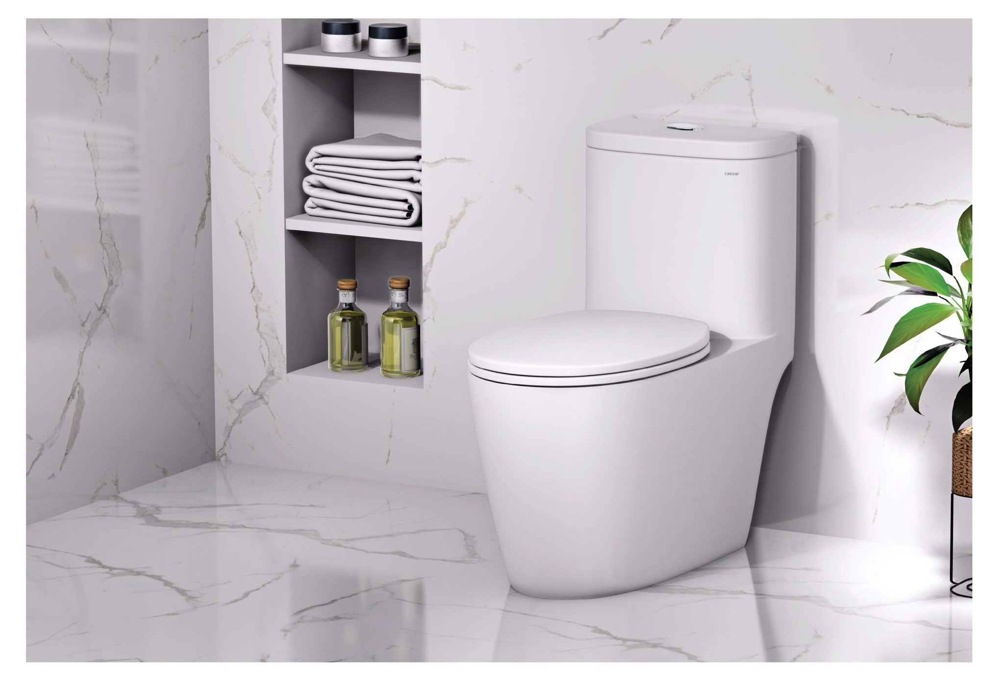 Bồn cầu 1 khối nắp rửa cơ Caesar C1364F + TAF060 (CD1364+TAF060)