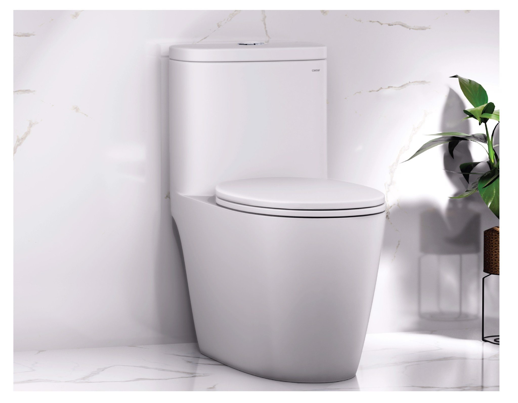 Bồn cầu 1 khối nắp rửa cơ Caesar C1364F + TAF060 (CD1364+TAF060)