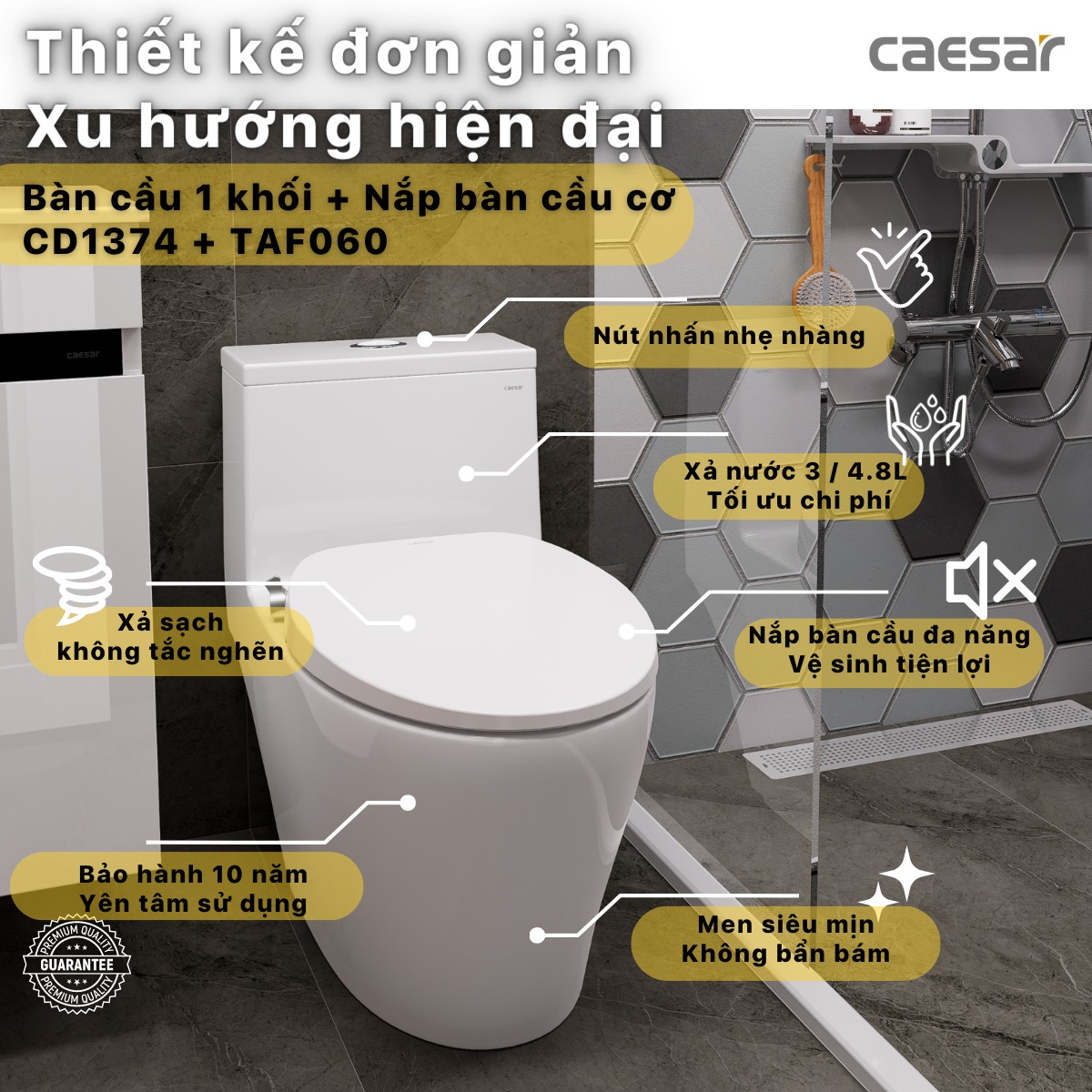 Bồn cầu 1 khối nắp rửa cơ Caesar C1374F + TAF060 (CD1374+TAF060)