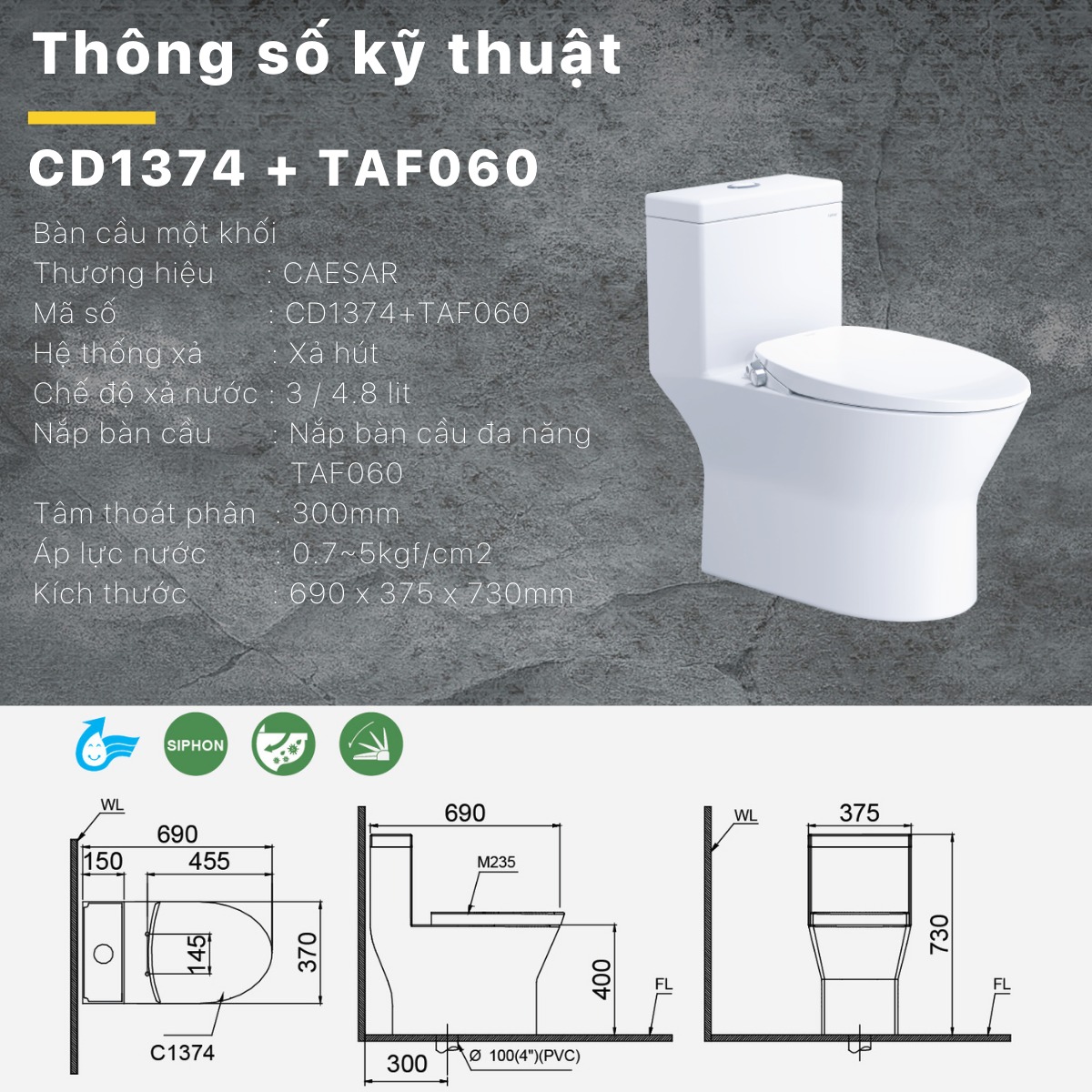 Bồn cầu 1 khối nắp rửa cơ Caesar C1374F + TAF060 (CD1374+TAF060)