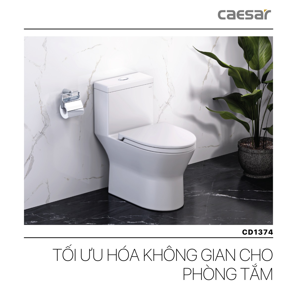 Bồn cầu 1 khối nắp rửa cơ Caesar C1374F + TAF060 (CD1374+TAF060)