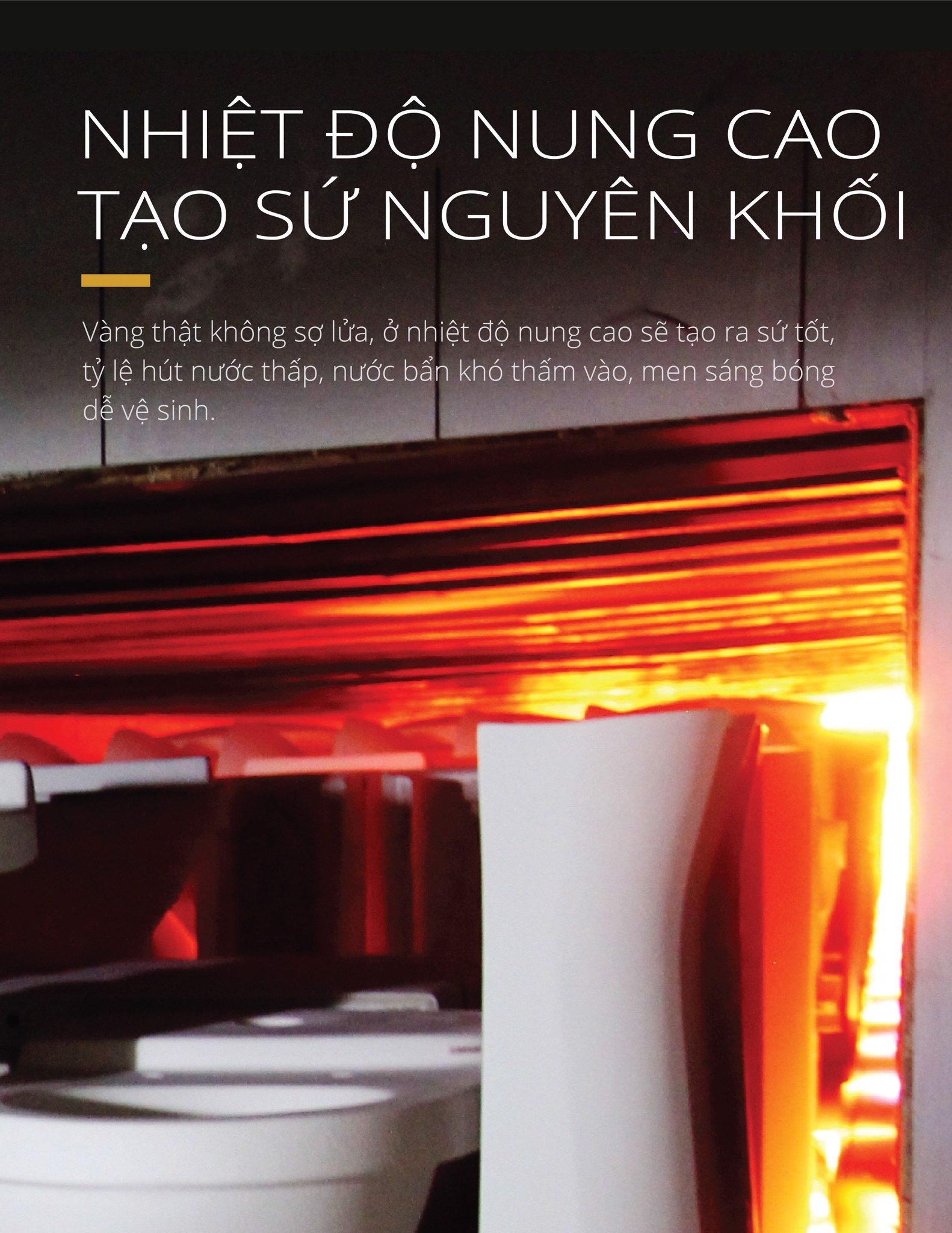 Bồn cầu 1 khối nắp rửa cơ Caesar C1375F + TAF060 (CD1375+TAF060)