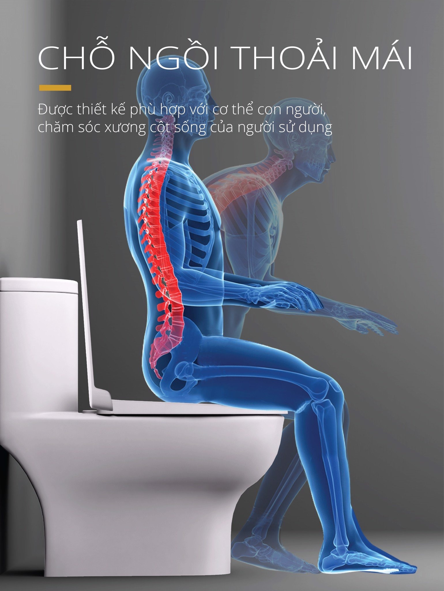 Bồn cầu 1 khối nắp rửa cơ Caesar C1375F + TAF060 (CD1375+TAF060)