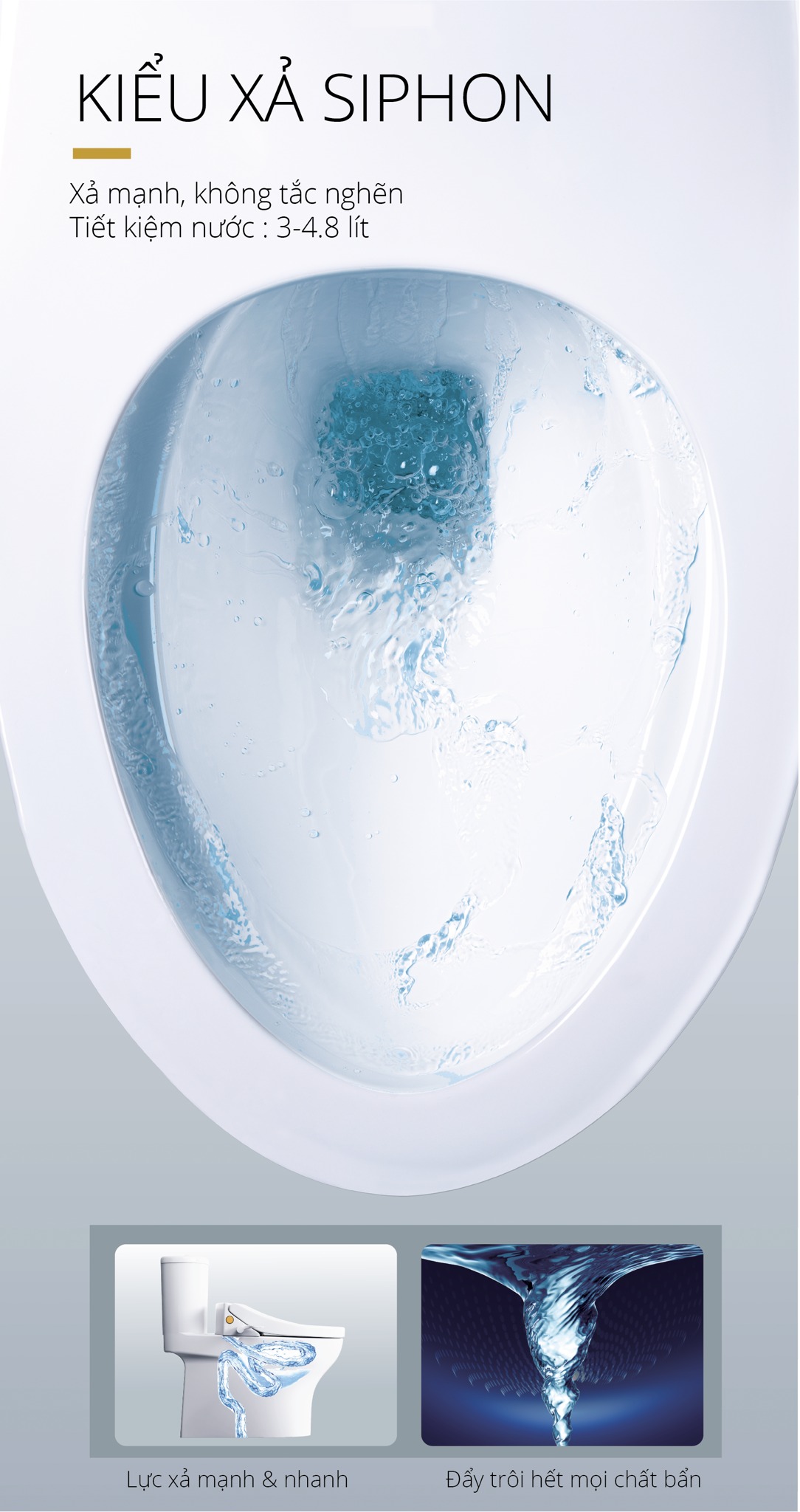 Bồn cầu 1 khối nắp rửa cơ Caesar CD1394+TAF050