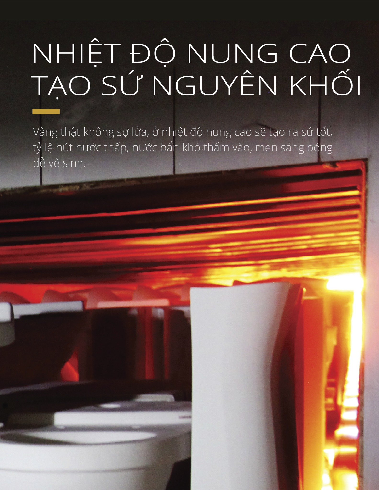 Bồn cầu 1 khối nắp rửa cơ Caesar CD1394+TAF050