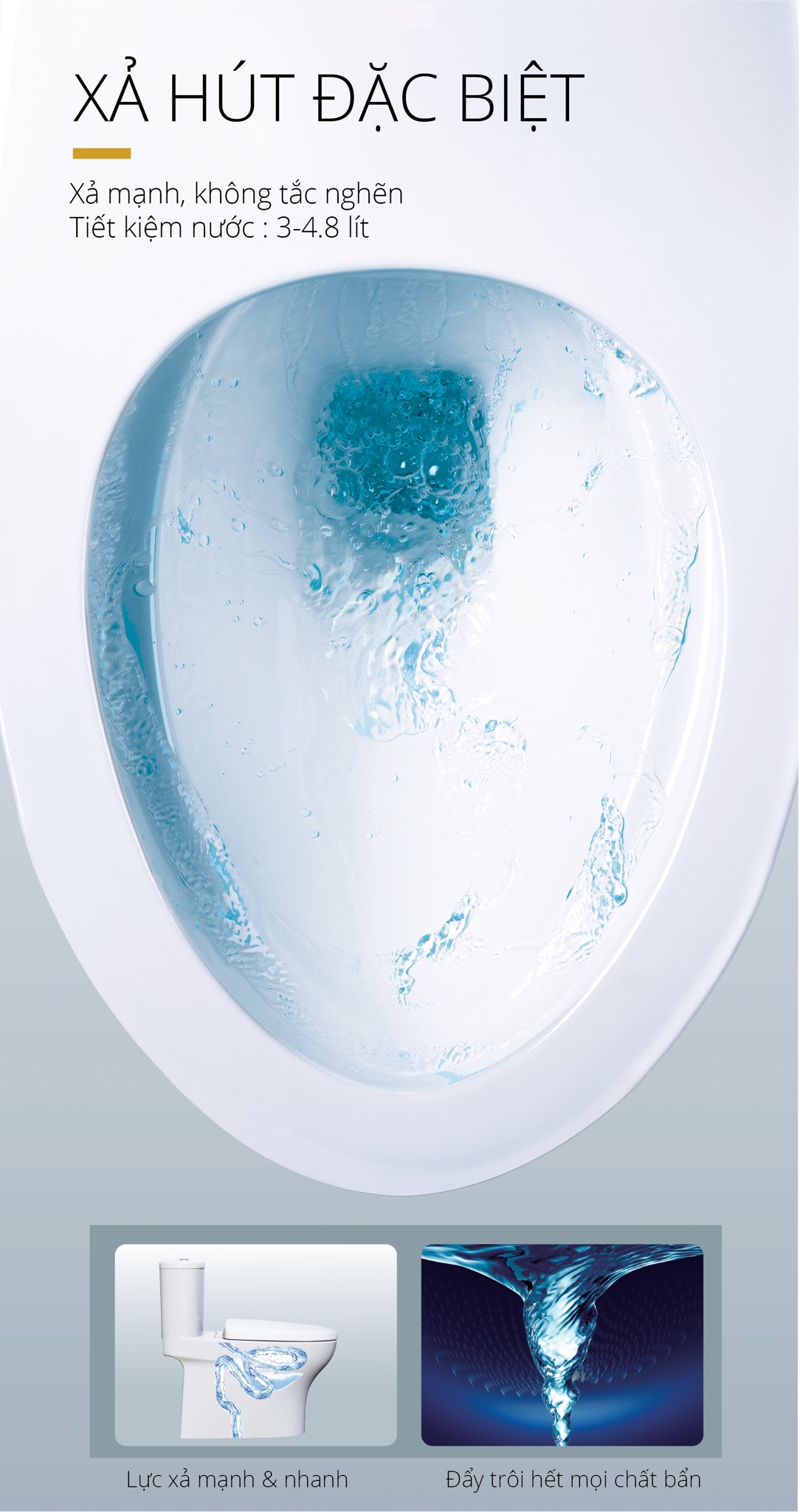 Bồn cầu 1 khối nắp rửa cơ Caesar C1394F + TAF060 (CD1394+TAF060)