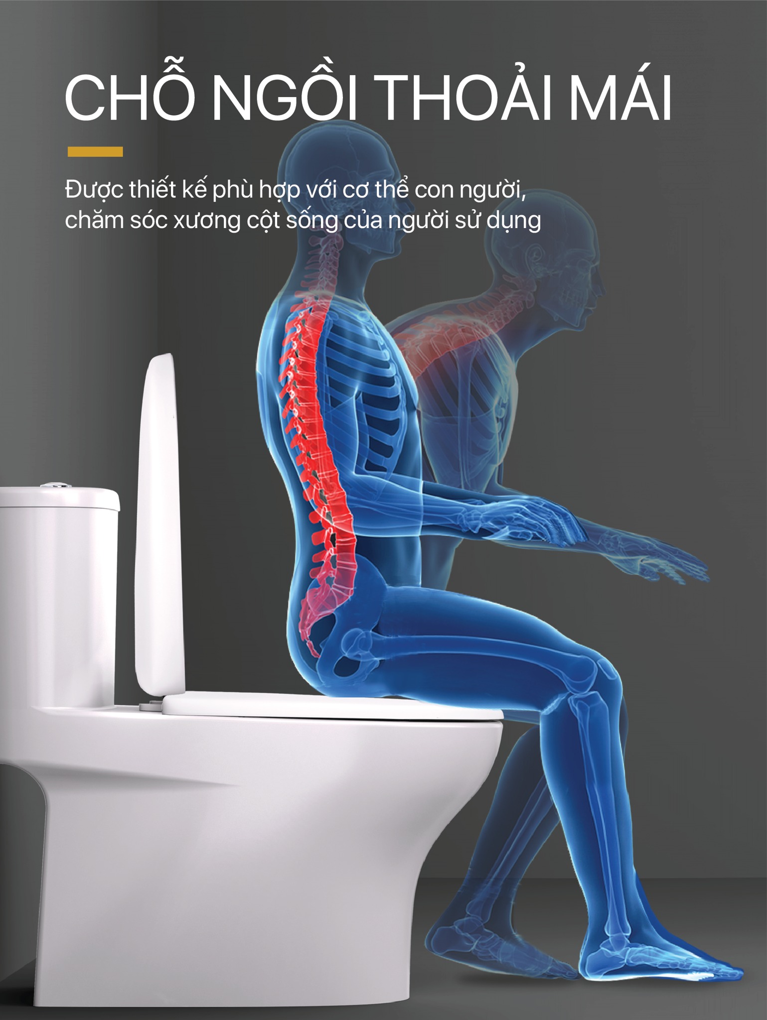 Bồn cầu 1 khối nắp rửa cơ Caesar C1394F + TAF060 (CD1394+TAF060)