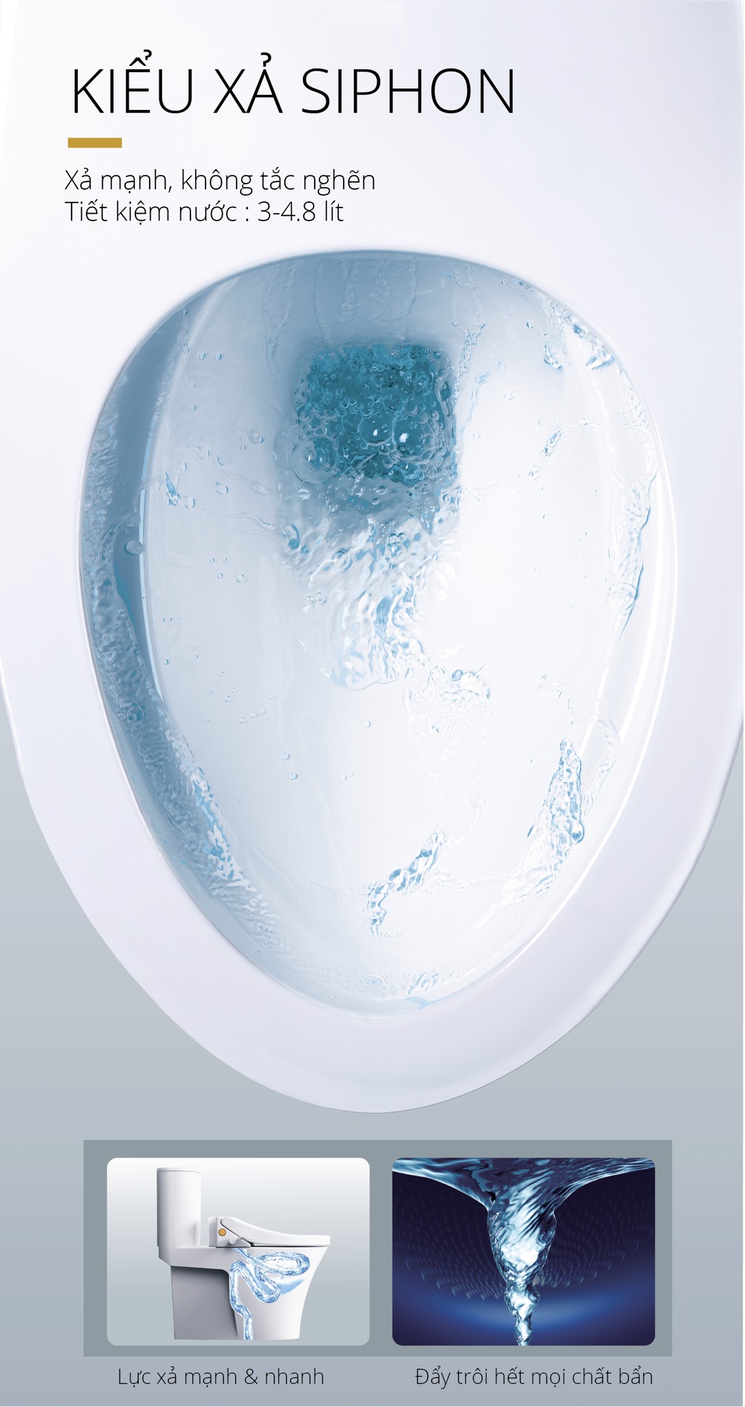 Bồn cầu 1 khối nắp rửa cơ Caesar CD1395+TAF050