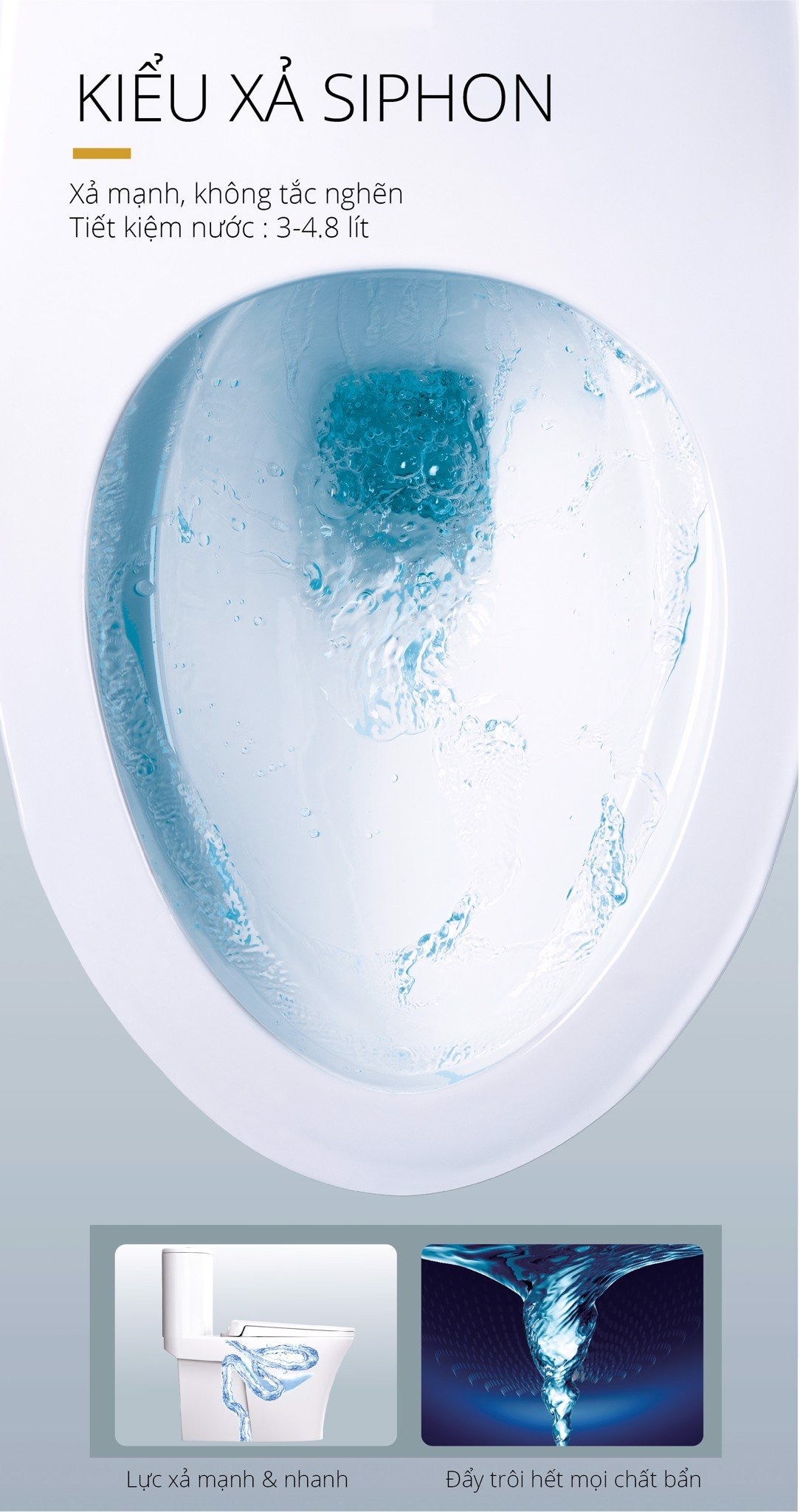 Bồn cầu 1 khối nắp rửa cơ Caesar C1395F + TAF060 (CD1395+TAF060)