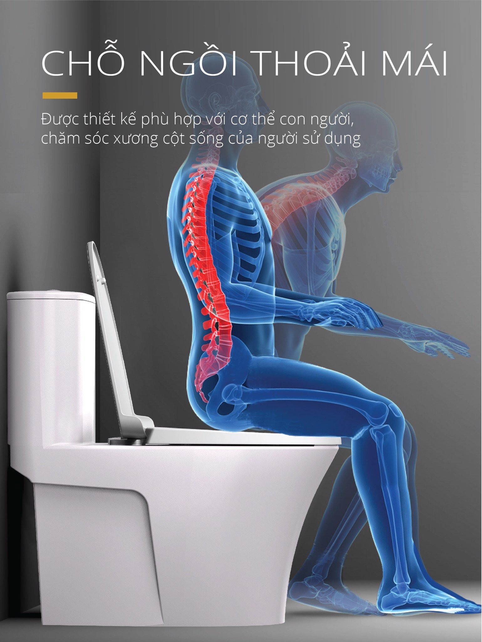 Bồn cầu 1 khối nắp rửa cơ Caesar C1395F + TAF060 (CD1395+TAF060)