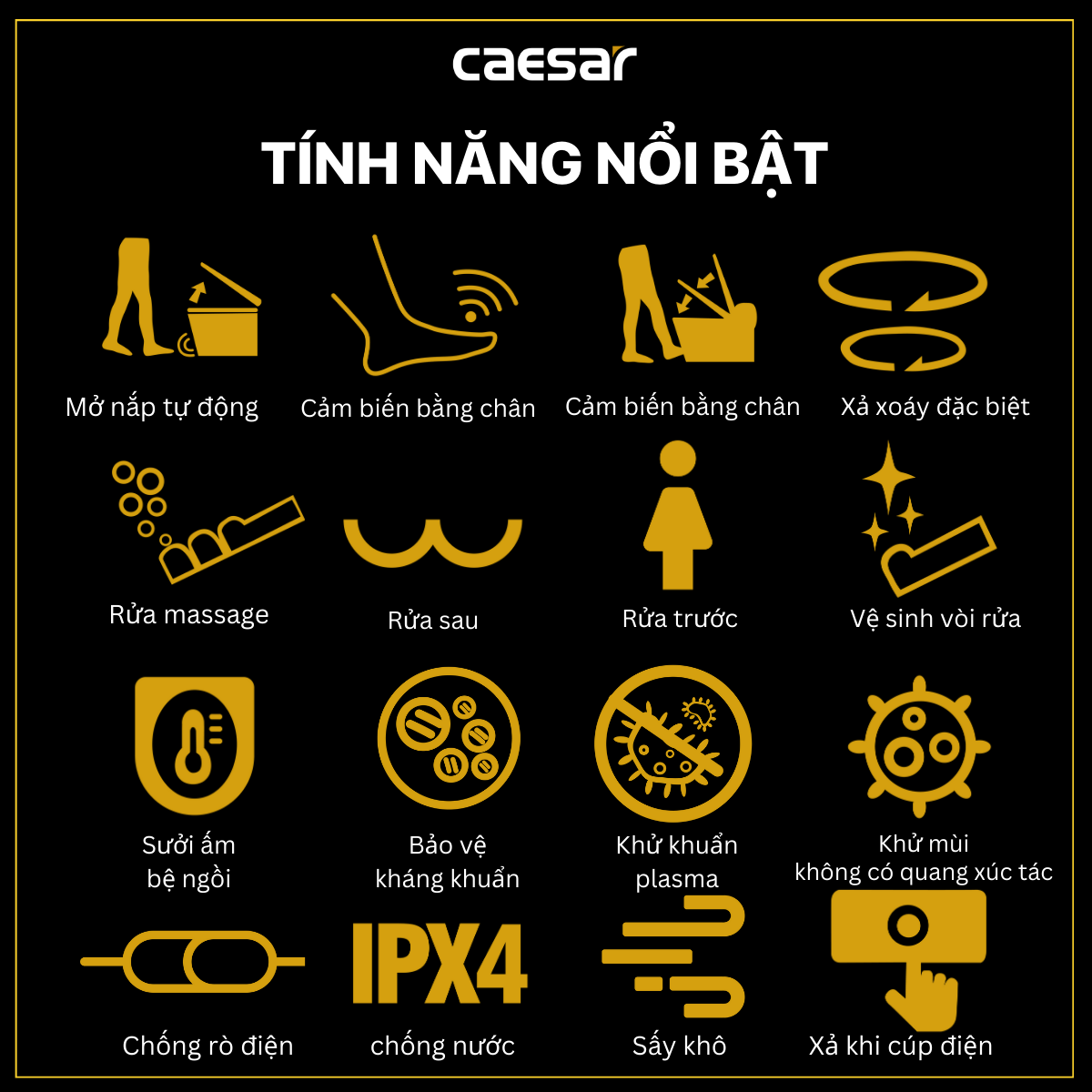 Bồn cầu điện tử thông minh Caesar CA1389H