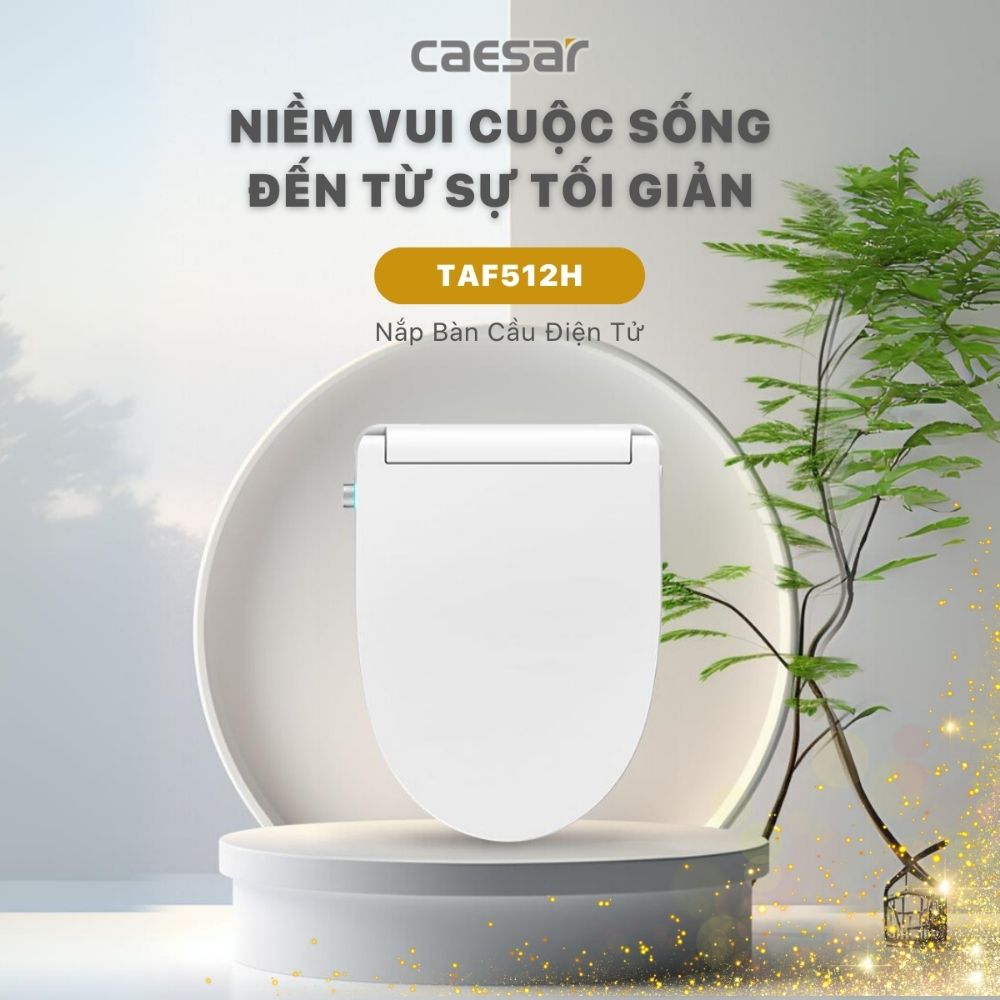 Bồn cầu 2 khối nắp điện tử Caesar CD1342 + TAF512H