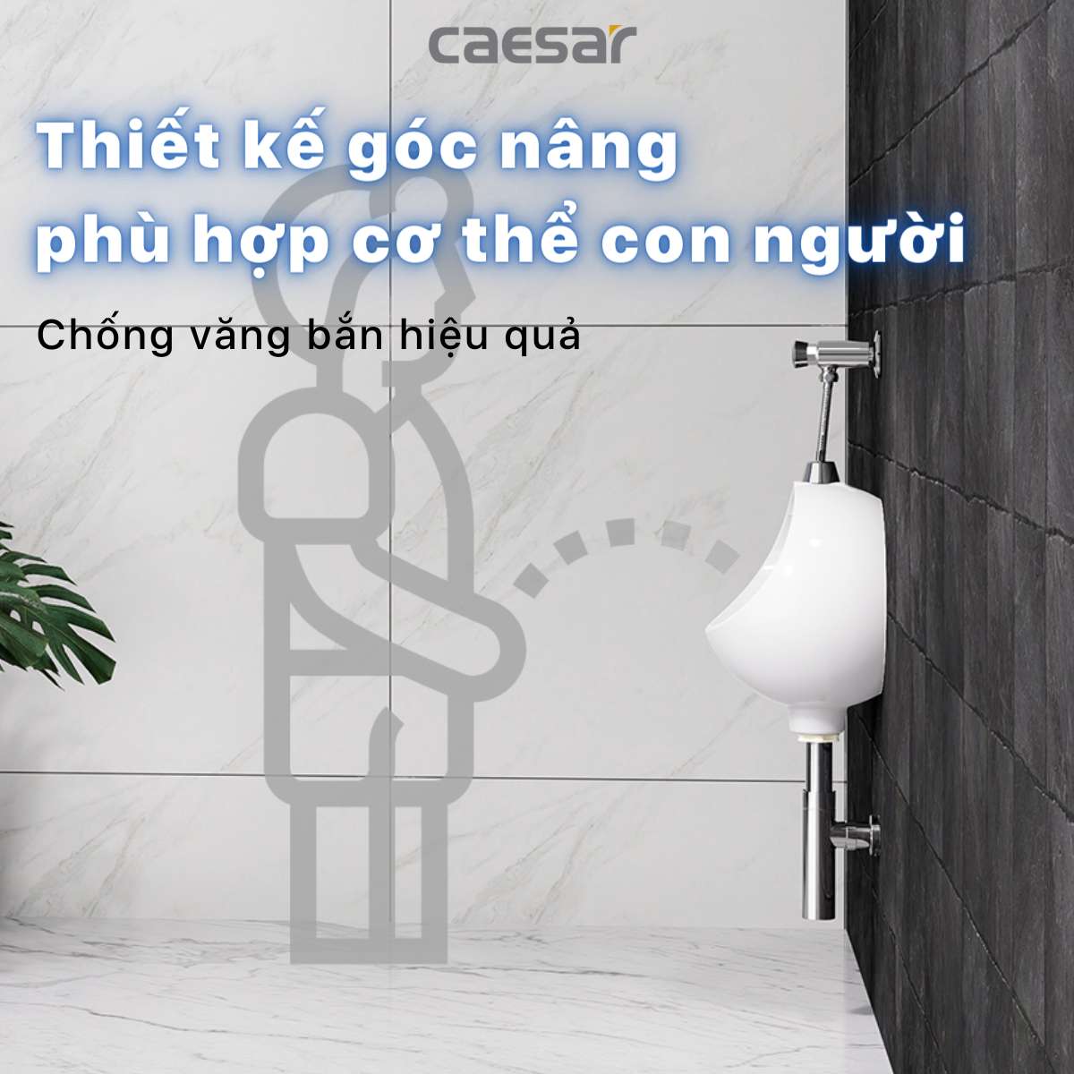 Bồn tiểu nam treo tường Caesar U0210