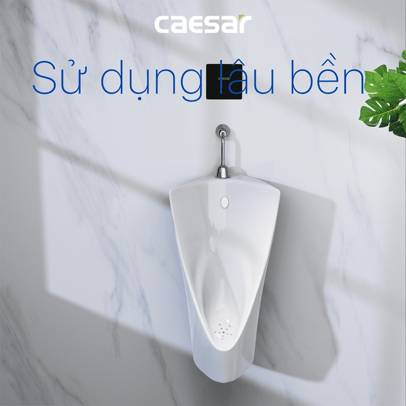 Bồn tiểu nam treo tường thoát ngang Caesar U0232