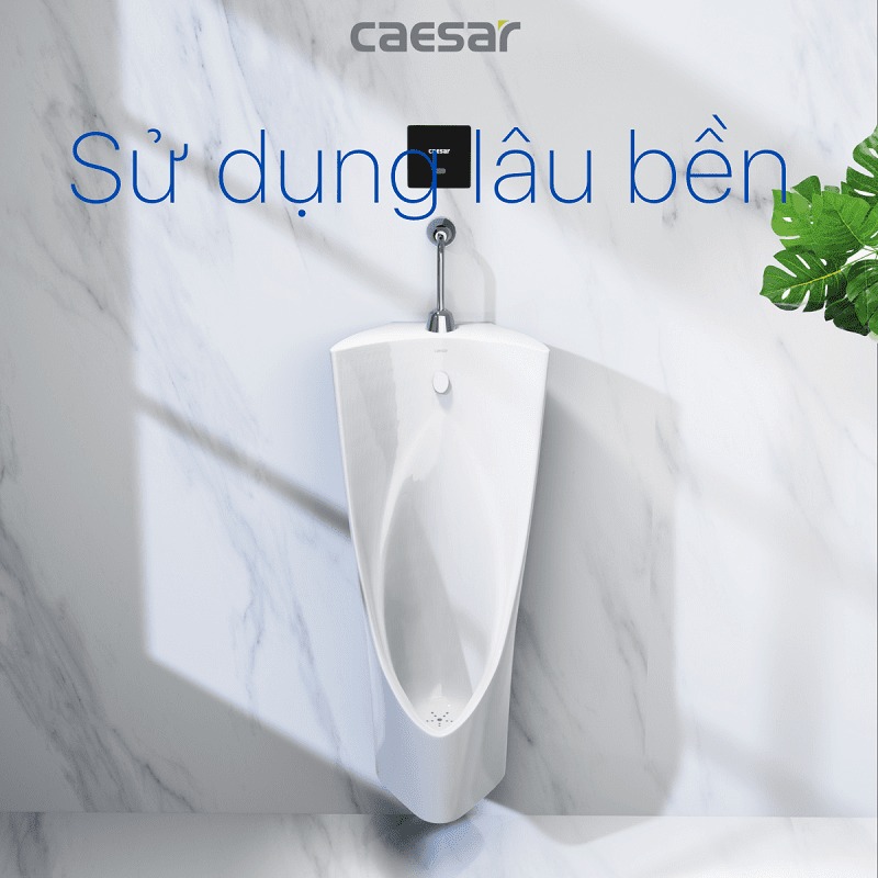 Bồn tiểu nam treo tường thoát ngang Caesar U0235