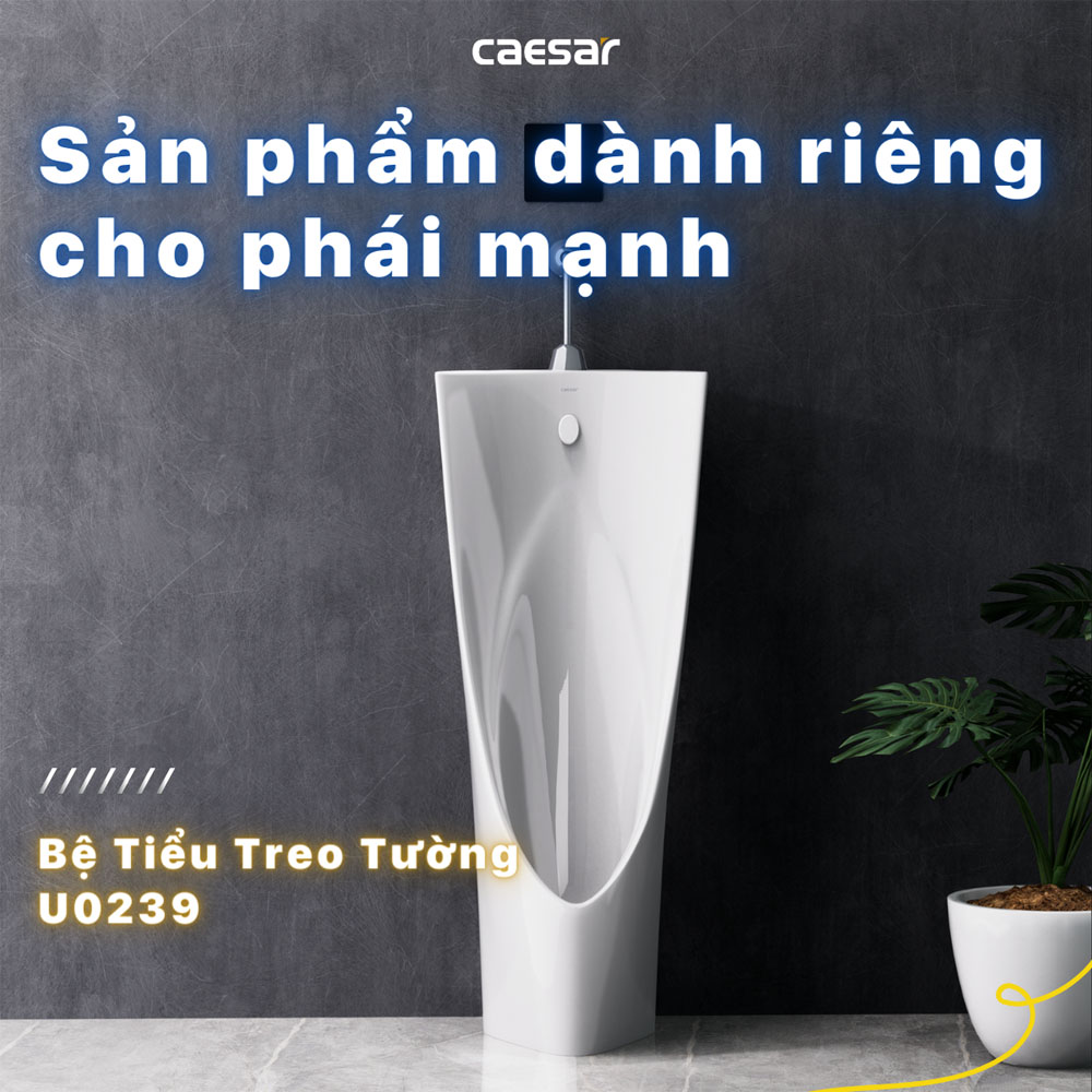 Bồn tiểu nam đặt sàn kèm van xả cảm ứng Caesar U0239+A654