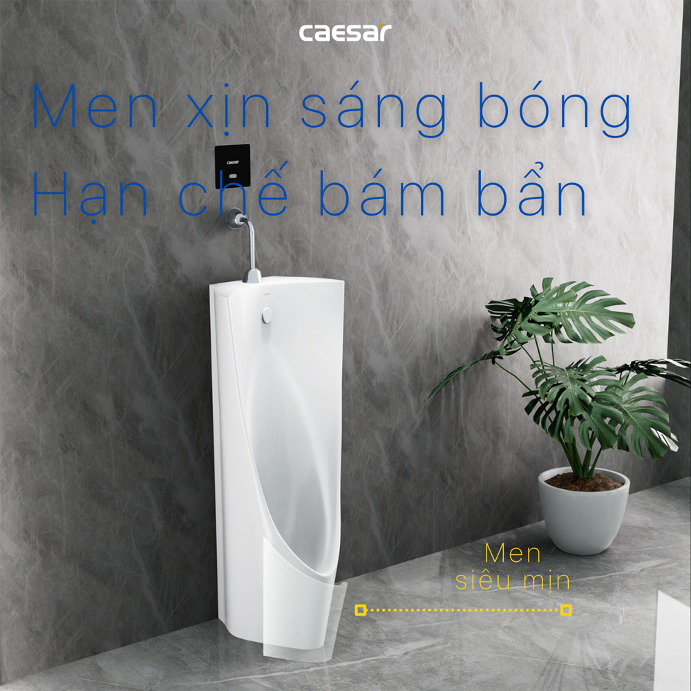 Bồn tiểu nam đặt sàn kèm van xả cảm ứng Caesar U0239+A654