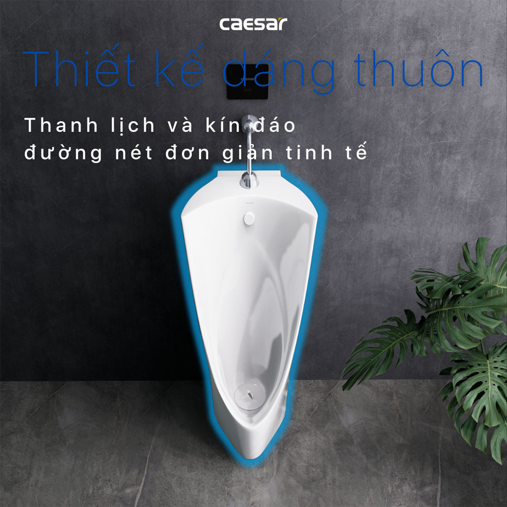 Bồn tiểu nam đặt sàn kèm van xả cảm ứng Caesar U0239+A654