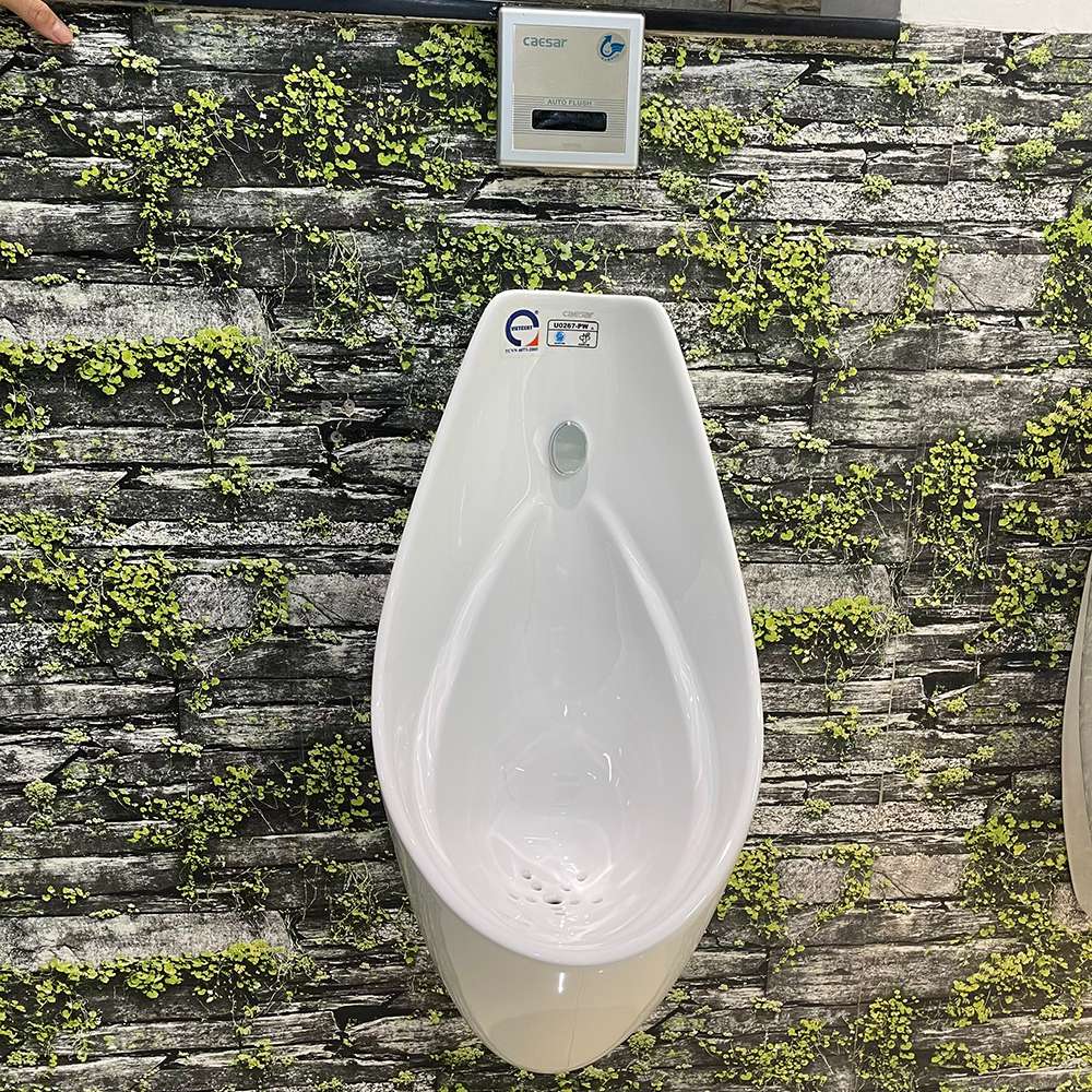 Bồn tiểu nam treo tường Caesar U0267