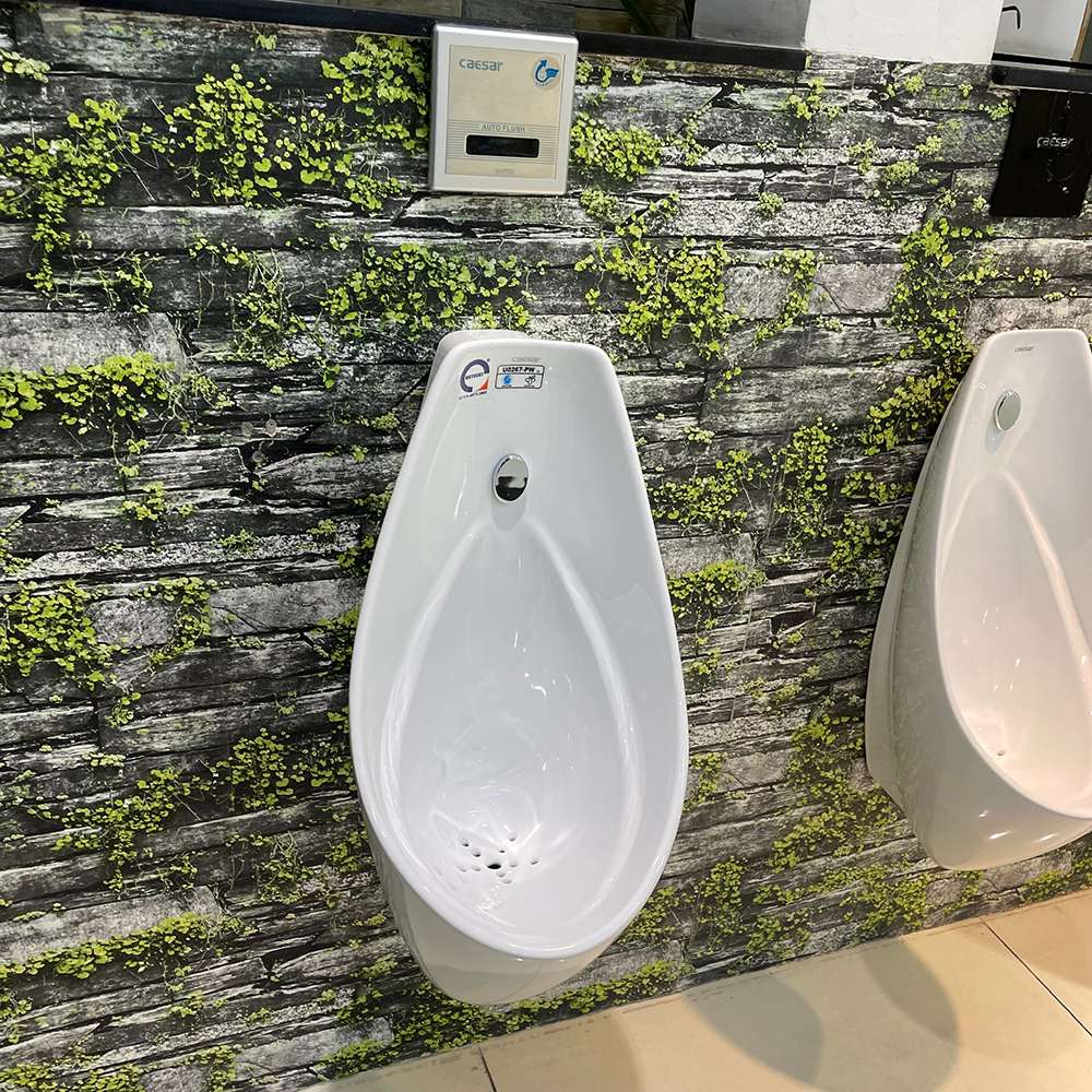 Bồn tiểu nam treo tường Caesar U0267