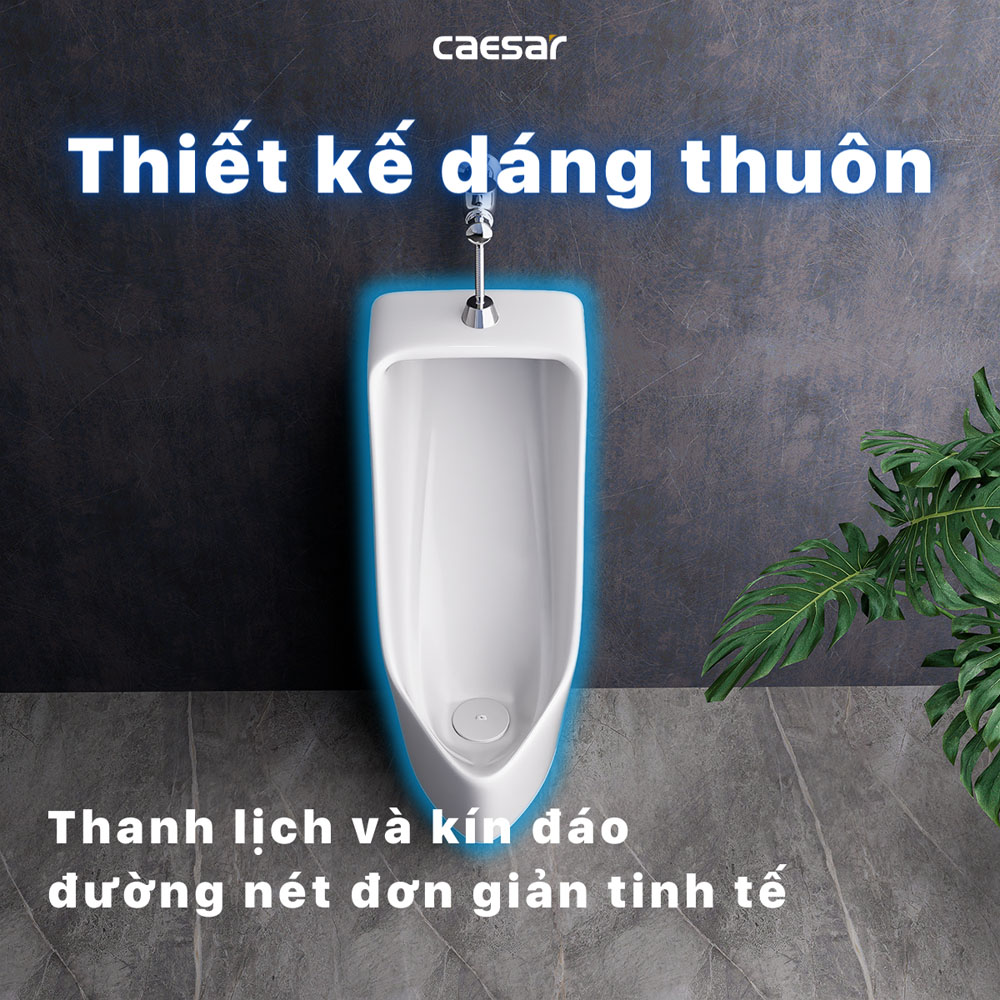 Bồn tiểu nam đặt sàn kèm van xả cảm ứng Caesar U0296+A648