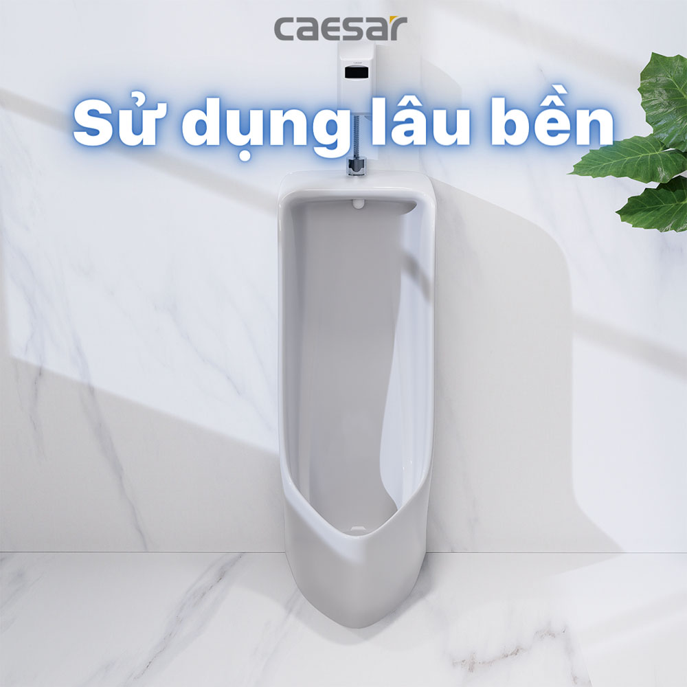 Bồn tiểu nam đặt sàn kèm van xả cảm ứng Caesar U0296+A648