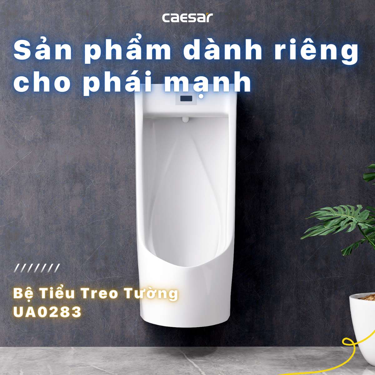 Bồn tiểu nam treo tường van cảm ứng Caesar UA0283