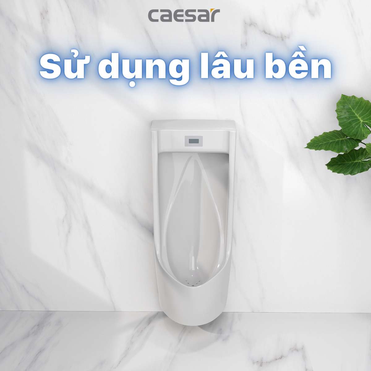 Bồn tiểu nam treo tường van cảm ứng Caesar UA0283