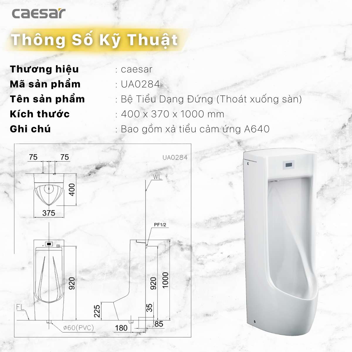 Bồn tiểu nam đặt sàn van cảm ứng Caesar UA0284