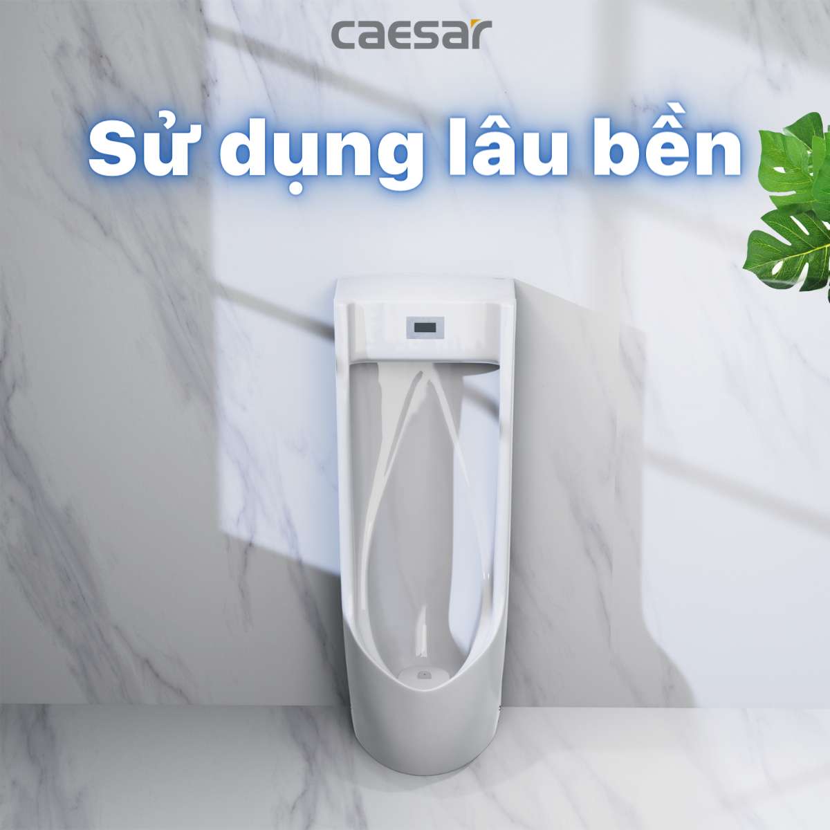 Bồn tiểu nam đặt sàn van cảm ứng Caesar UA0284