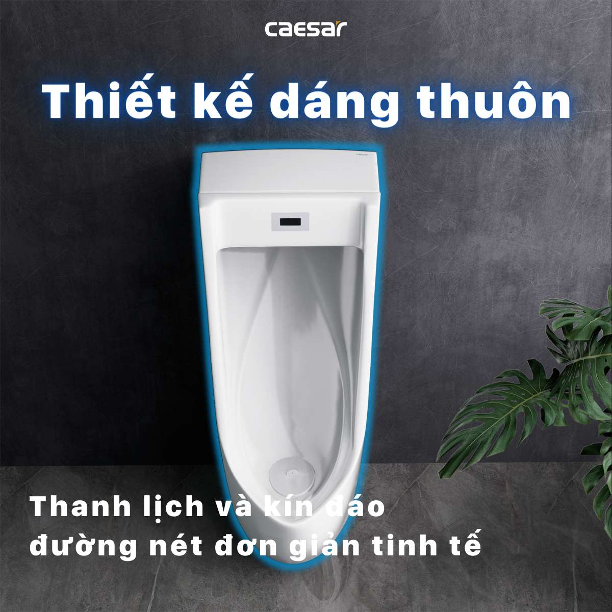 Bồn tiểu nam đặt sàn van cảm ứng Caesar UA0284
