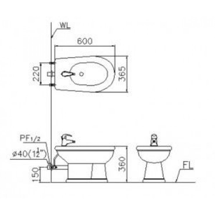 Bồn tiểu nữ Caesar B1031