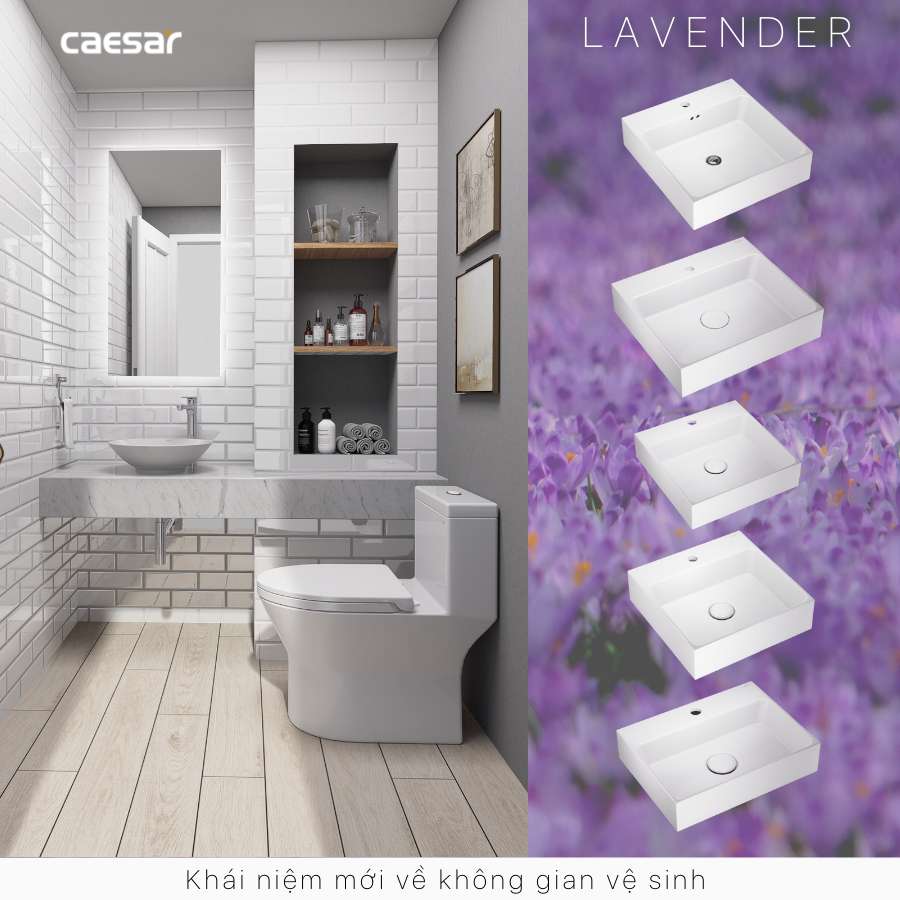 Chậu lavabo đặt bàn Caesar L5221