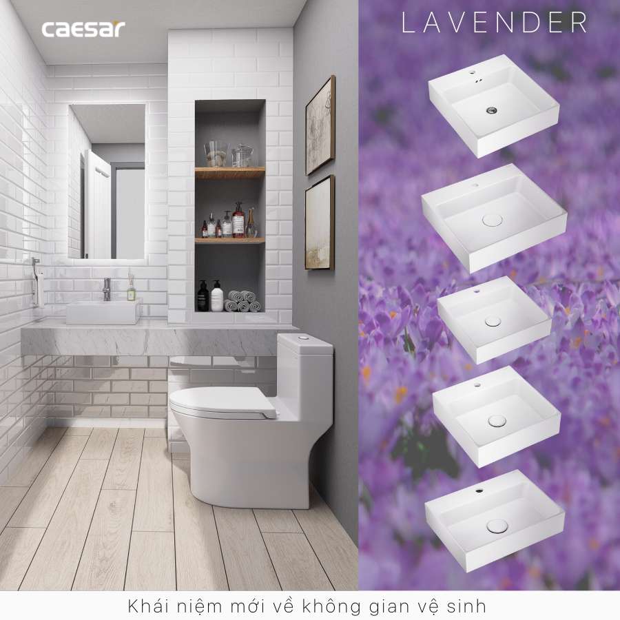 Chậu lavabo đặt bàn Caesar LF5257