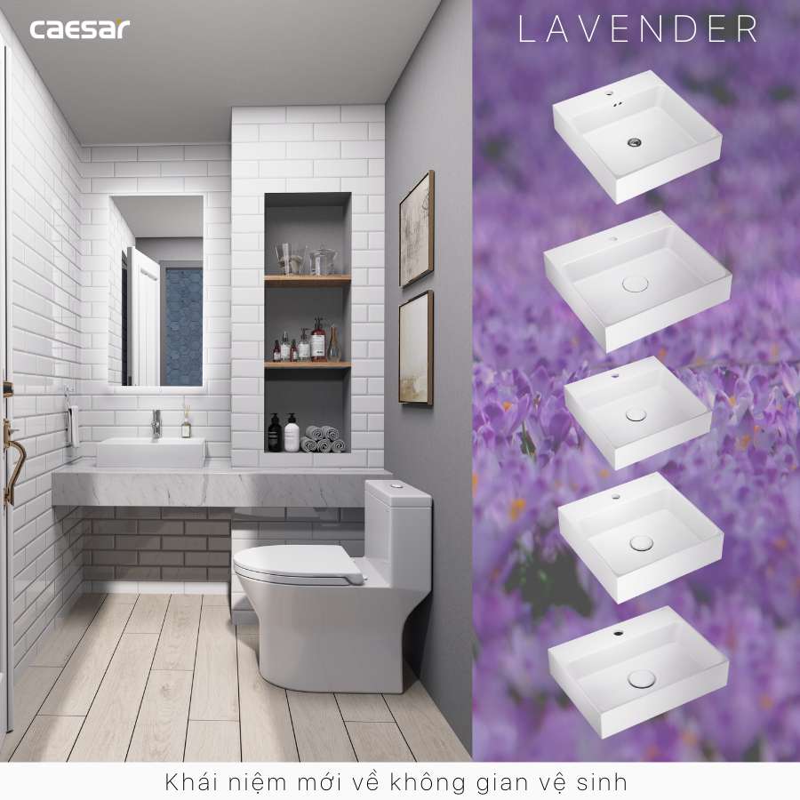 Chậu lavabo đặt bàn Caesar LF5259