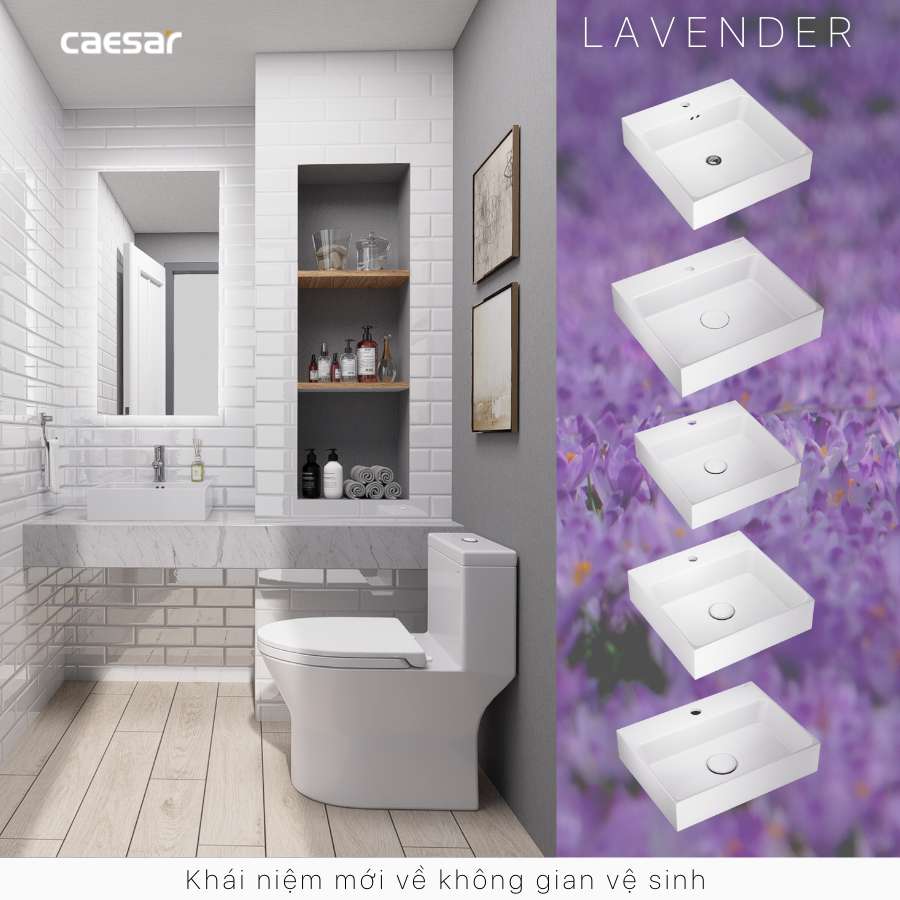 Chậu lavabo đặt bàn Caesar LF5263