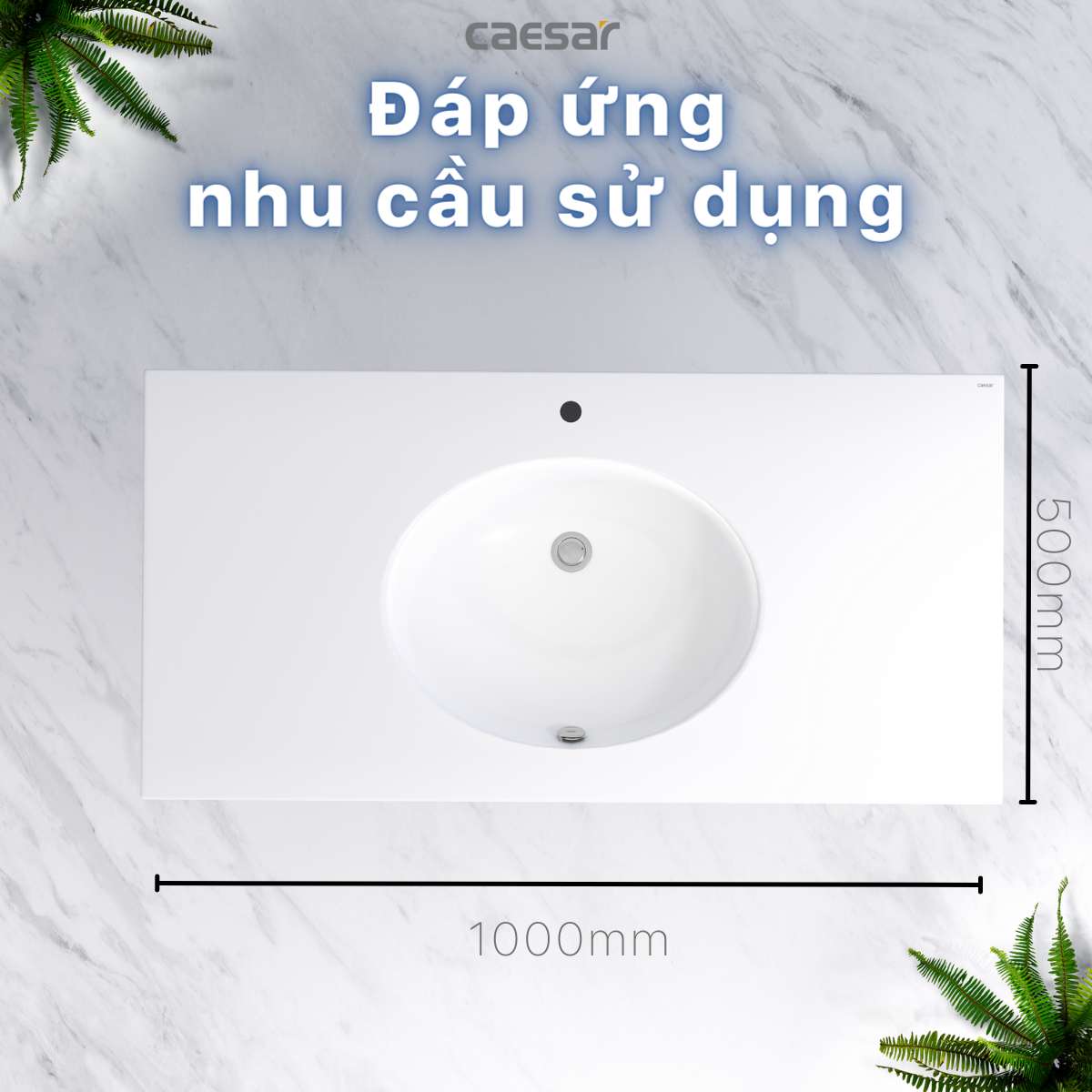 Chậu lavabo dương vành Caesar LF5028