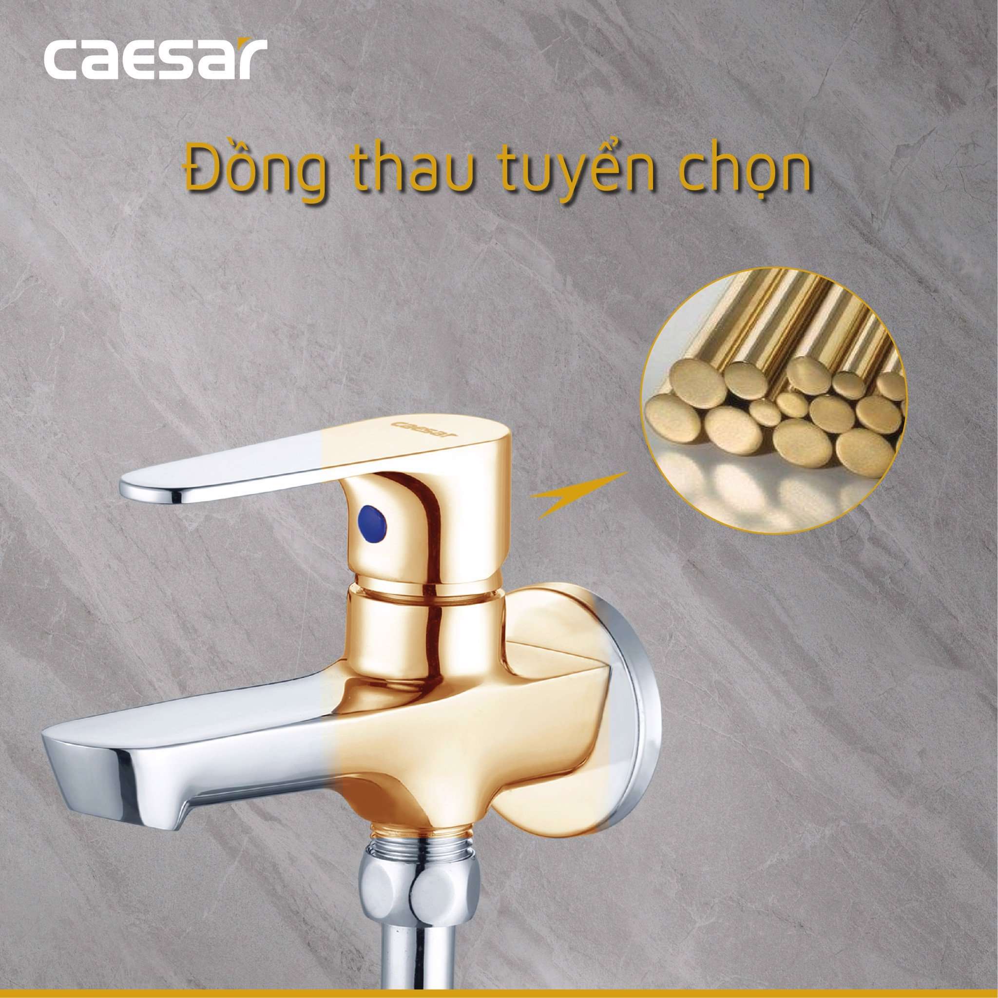 Bộ vòi sen tắm lạnh Caesar S063C (Tay sen tắm xi)