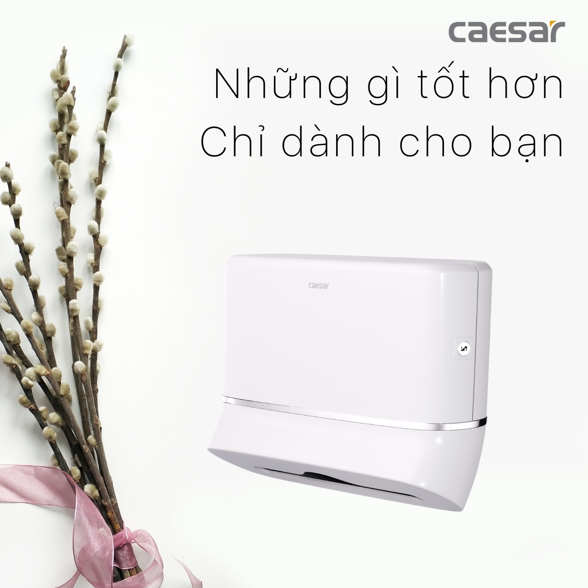 Hộp giấy vệ sinh Caesar H101