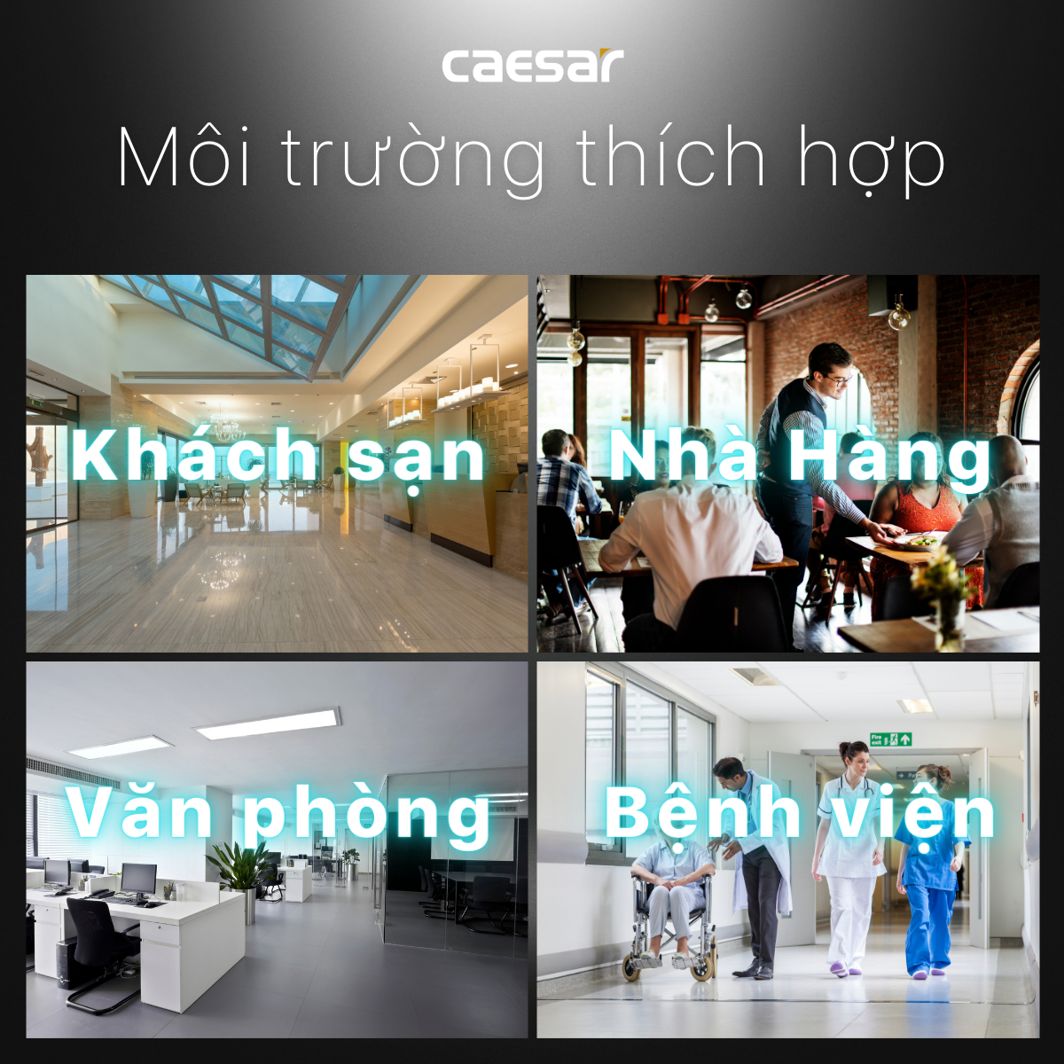 Hộp giấy vệ sinh Caesar H101