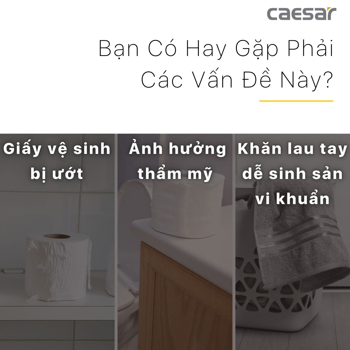 Hộp giấy vệ sinh Caesar H101