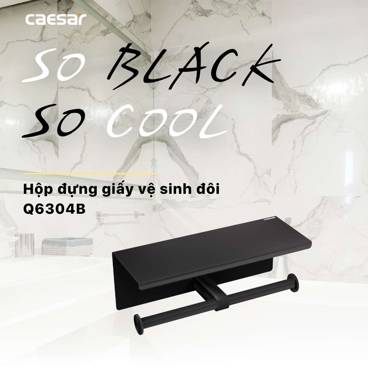 Móc giấy vệ sinh đôi Caesar Q6304B