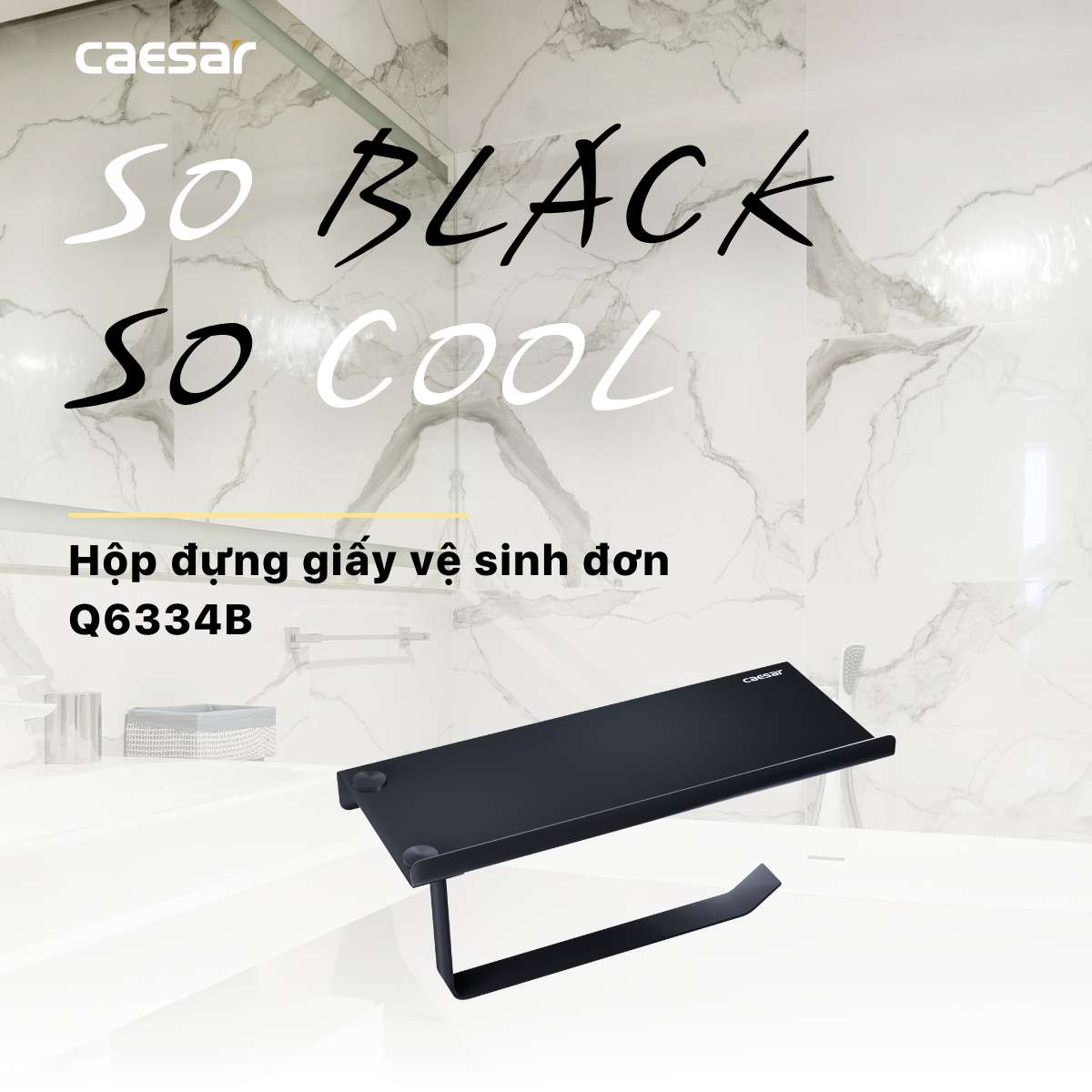 Lô đựng giấy vệ sinh đơn có kệ Caesar Q6334B