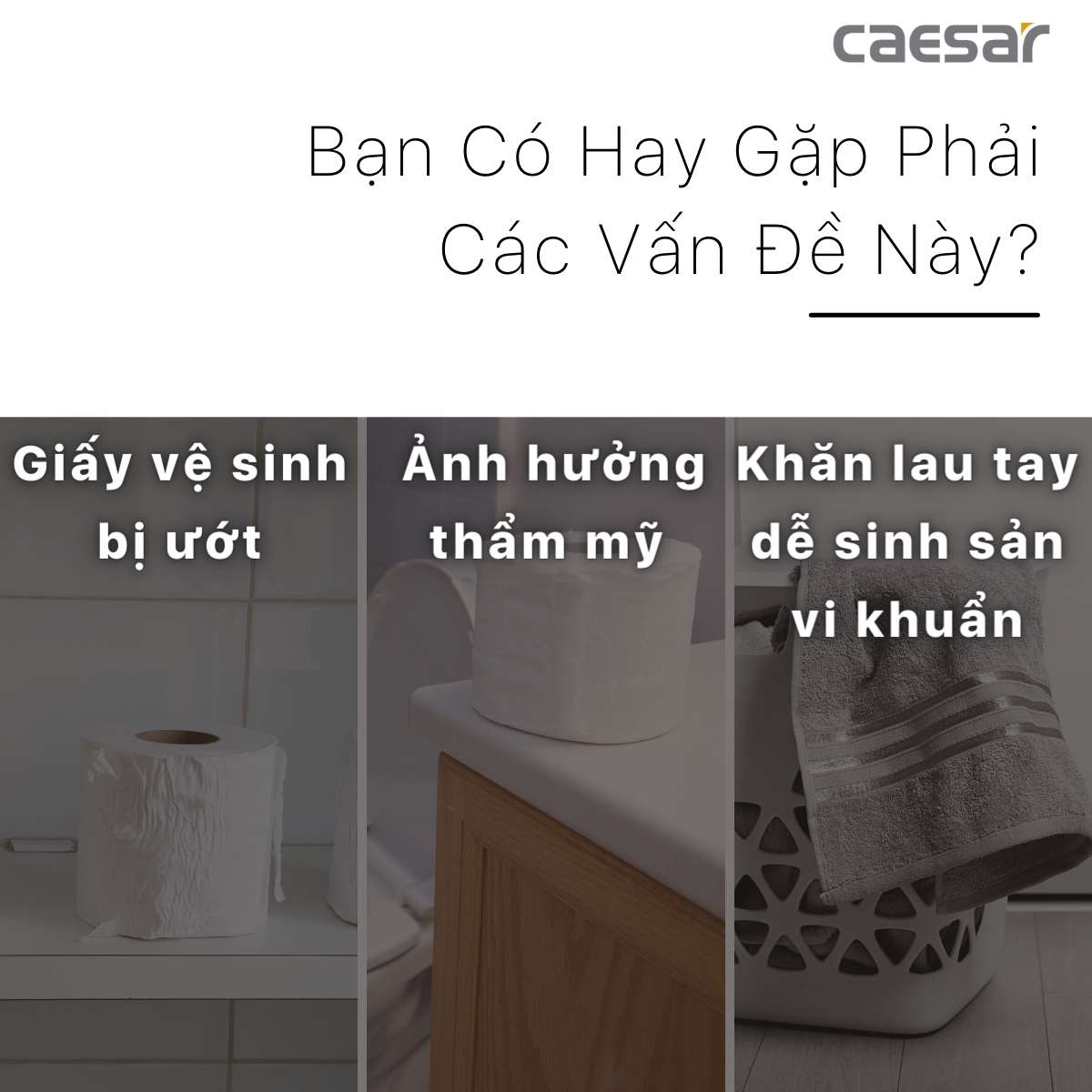 Hộp giấy vệ sinh inox Caesar ST127
