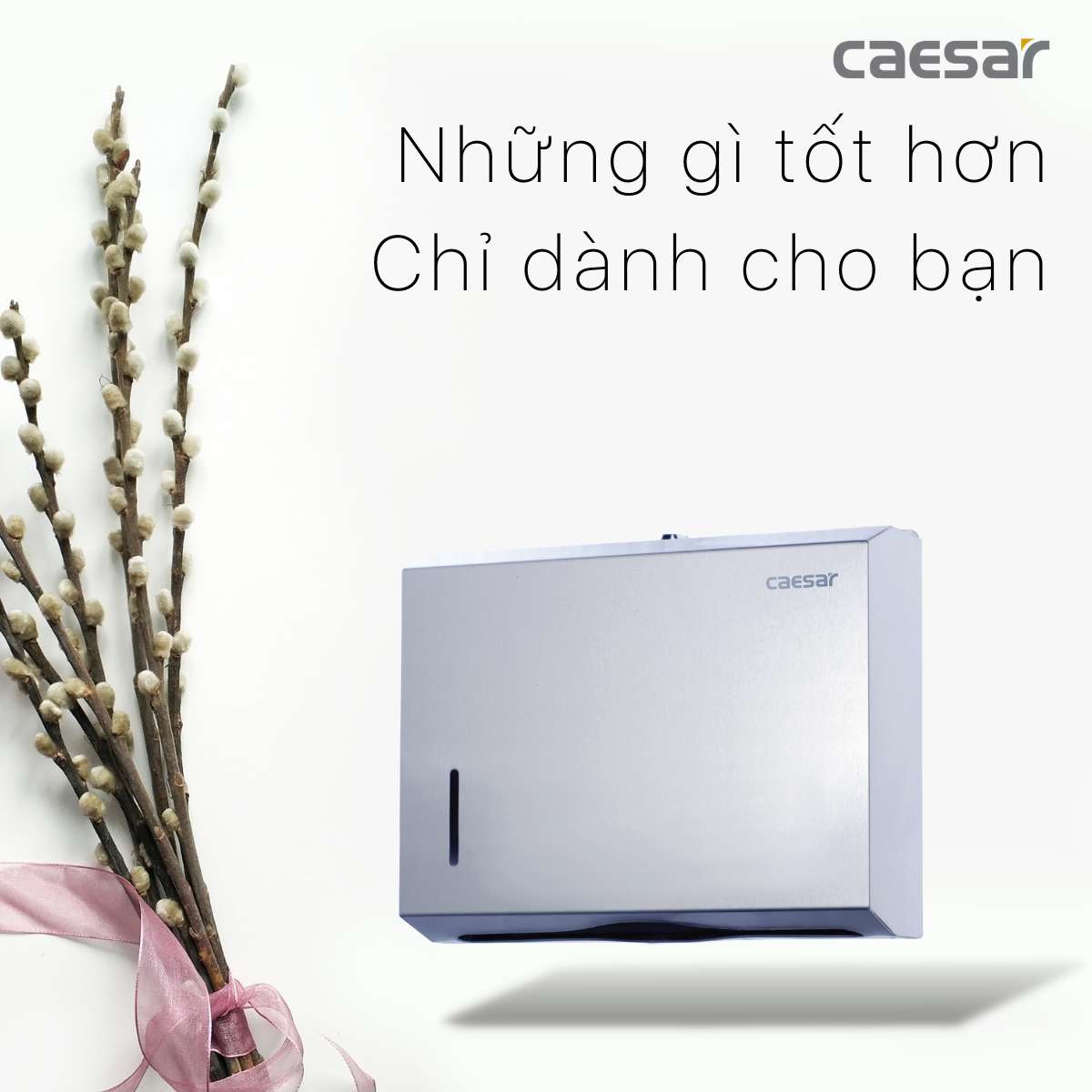 Hộp giấy vệ sinh inox Caesar ST127