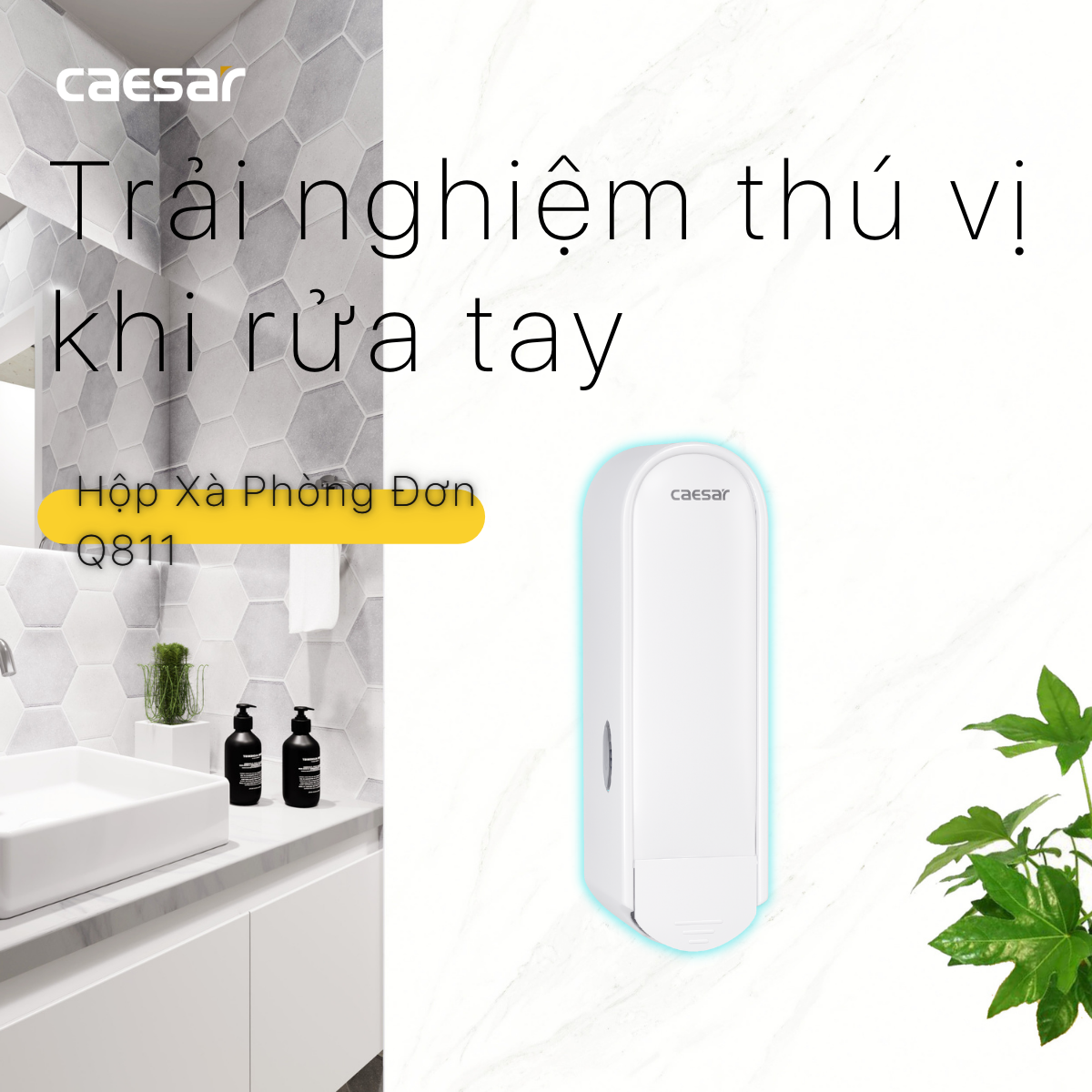 Hộp xà phòng đơn Caesar Q811
